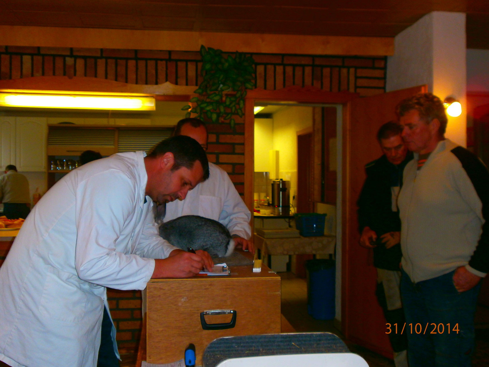 Vereinsschau 2014 www.gzvbeggerow.de