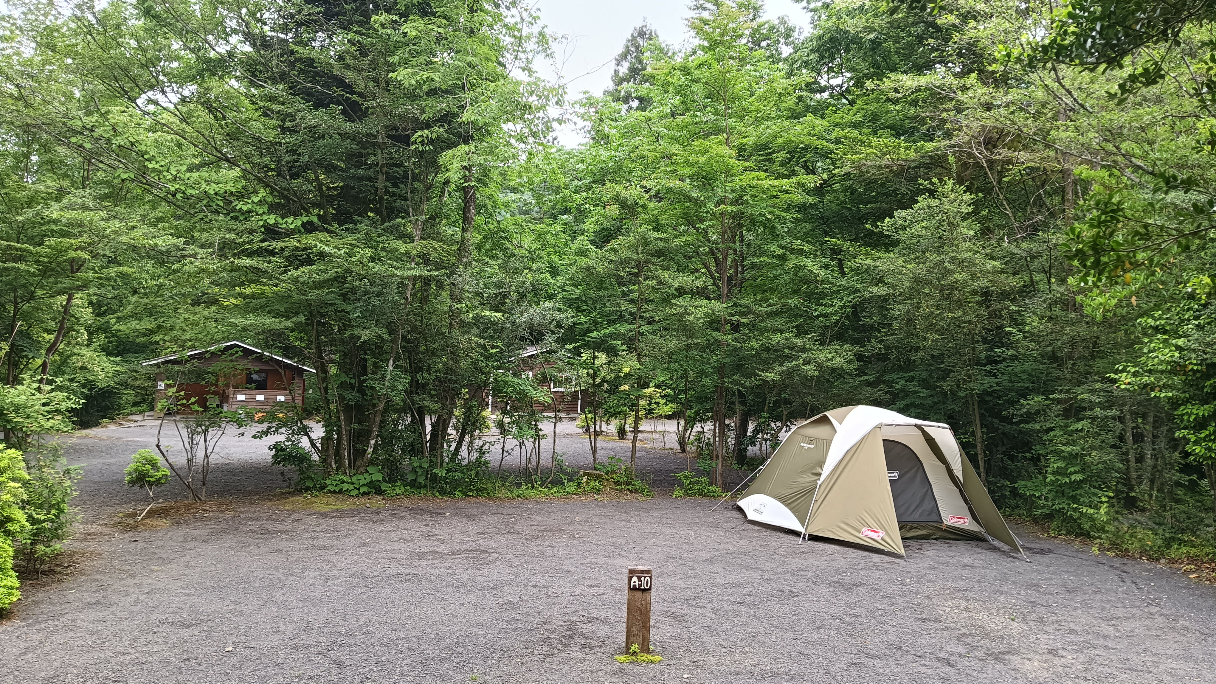 News - Foresters Village Kobitto あさぎりキャンプフィールド