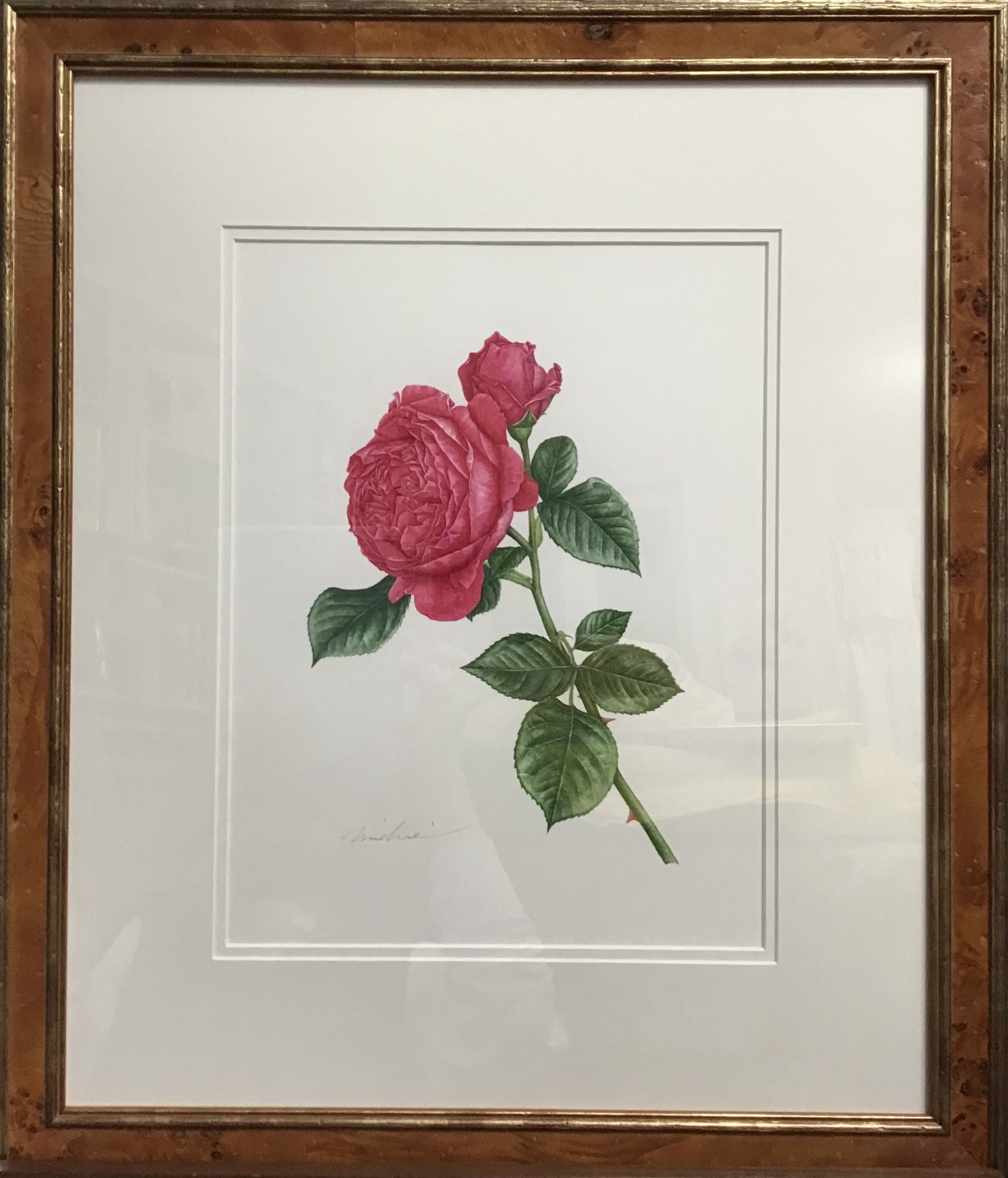 山手に咲く薔薇たち」展 作品リスト（詳細は作品をタップしてご確認