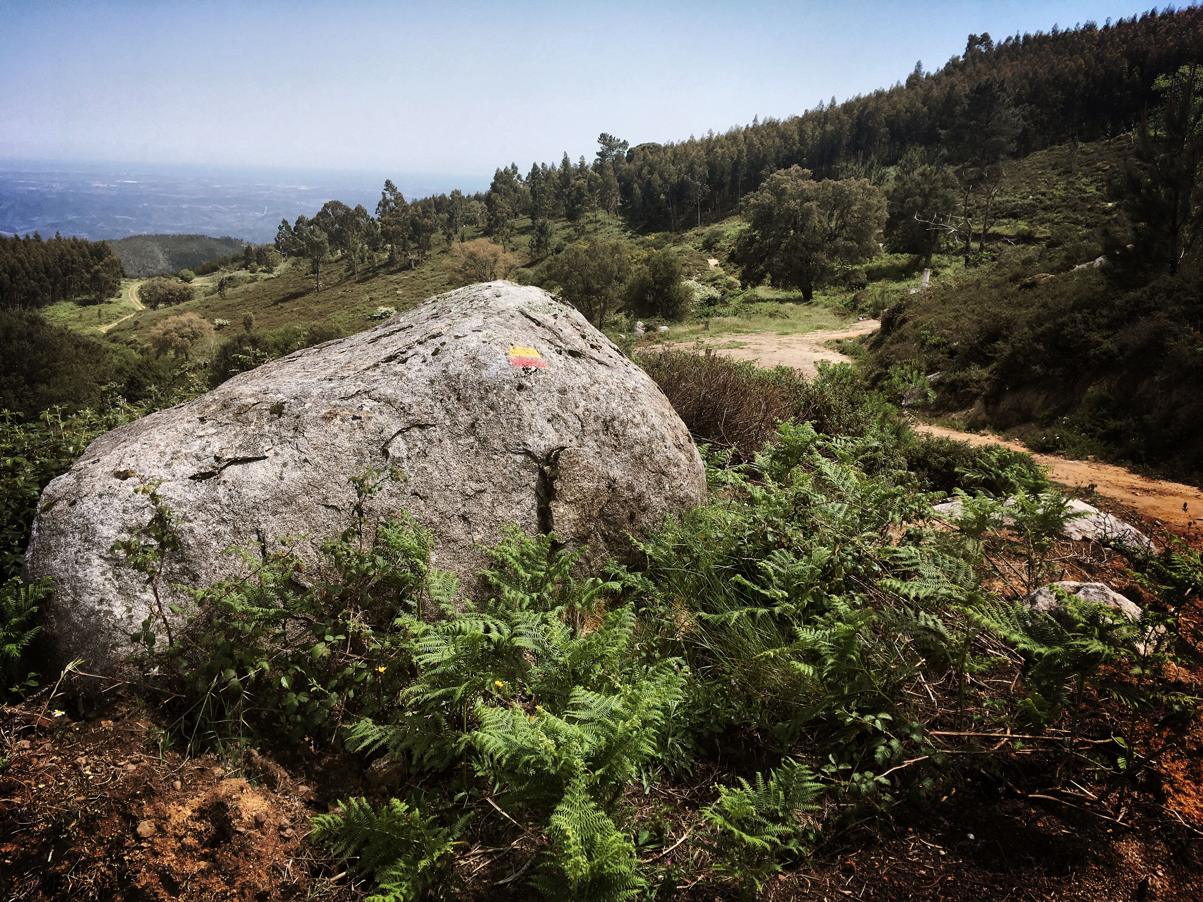 Die Serra de Monchique EBIKE RENTAL