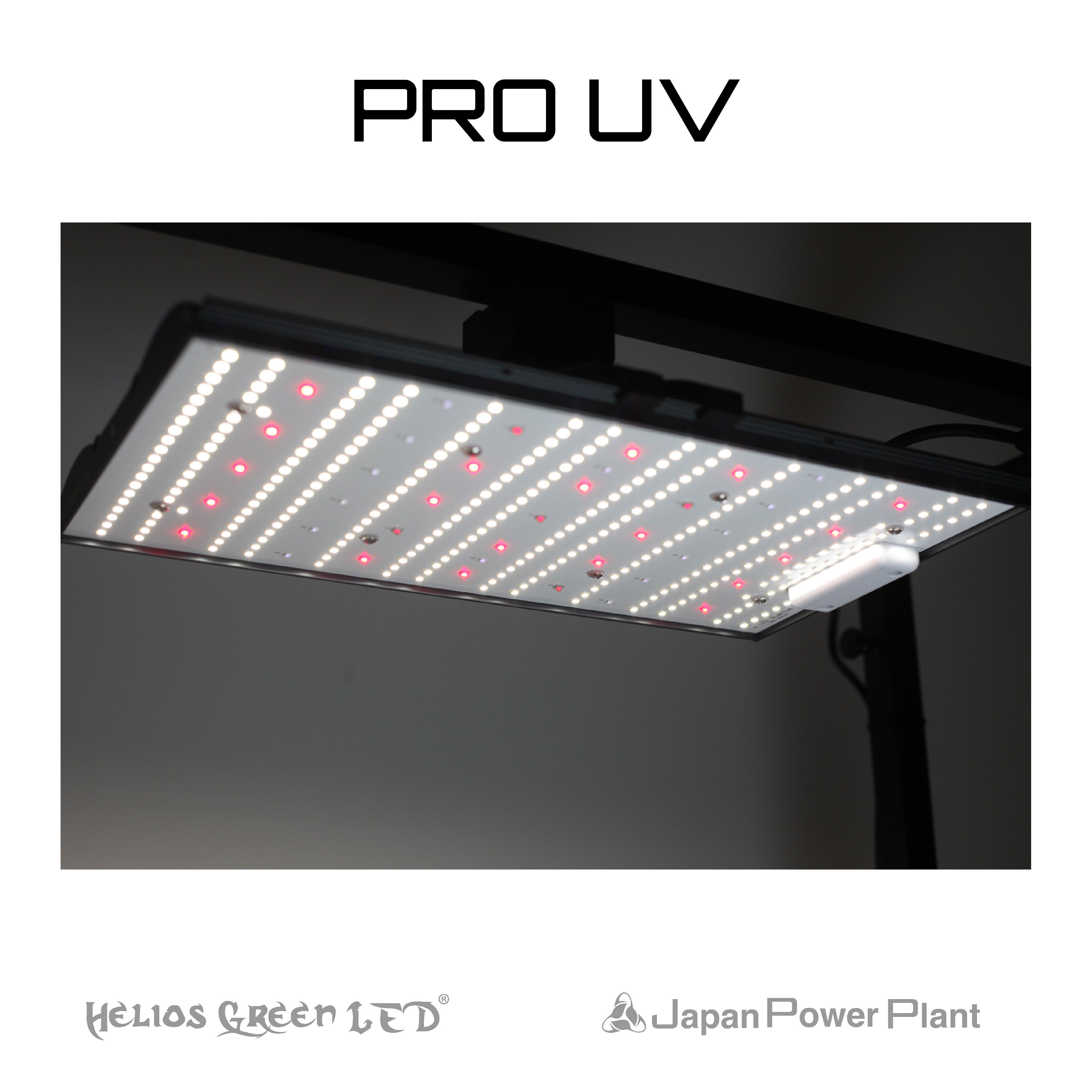 PRO UV - 株式会社JPP