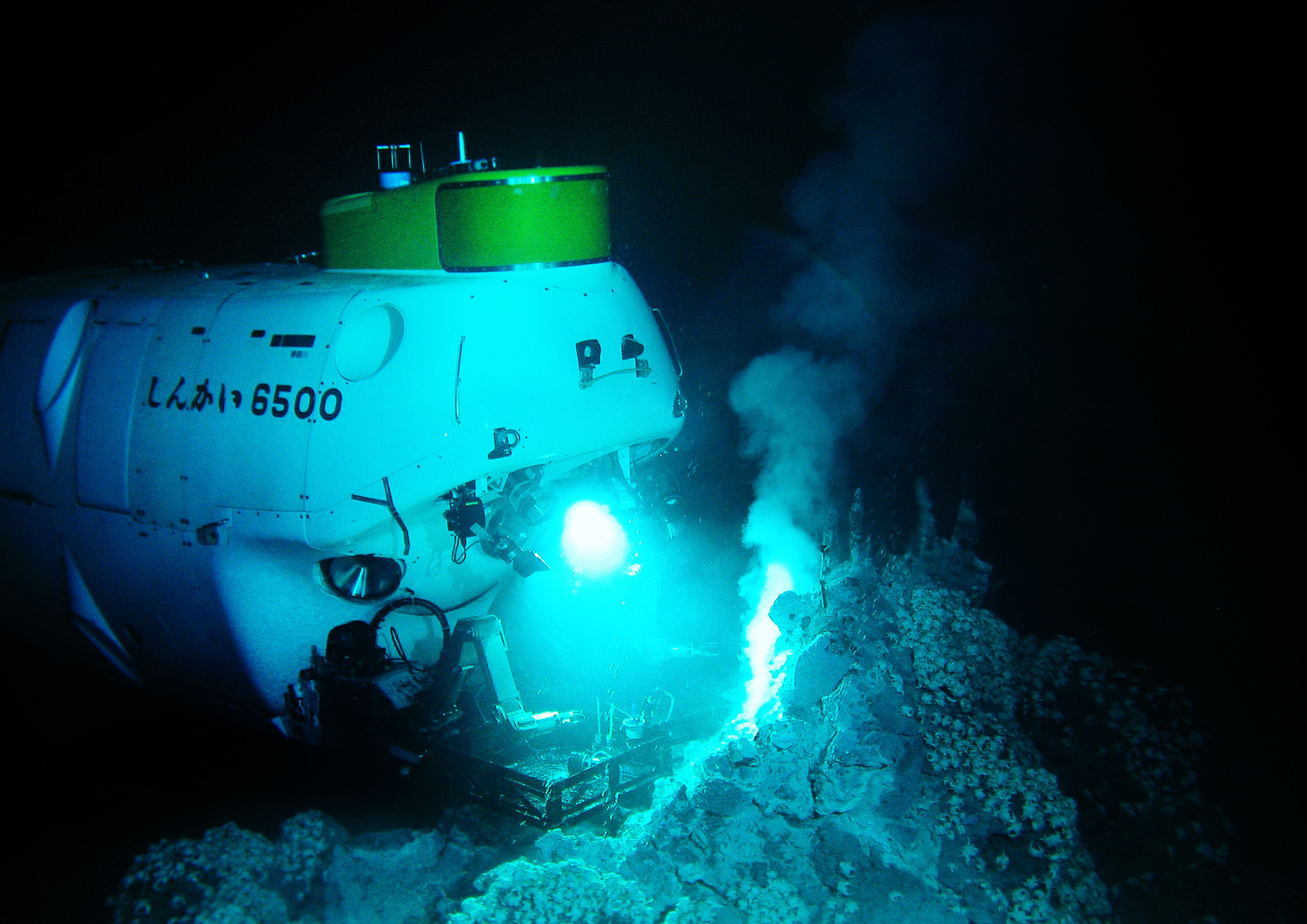 潜水調査船がみた深海生物 - 全国科学館連携協議会