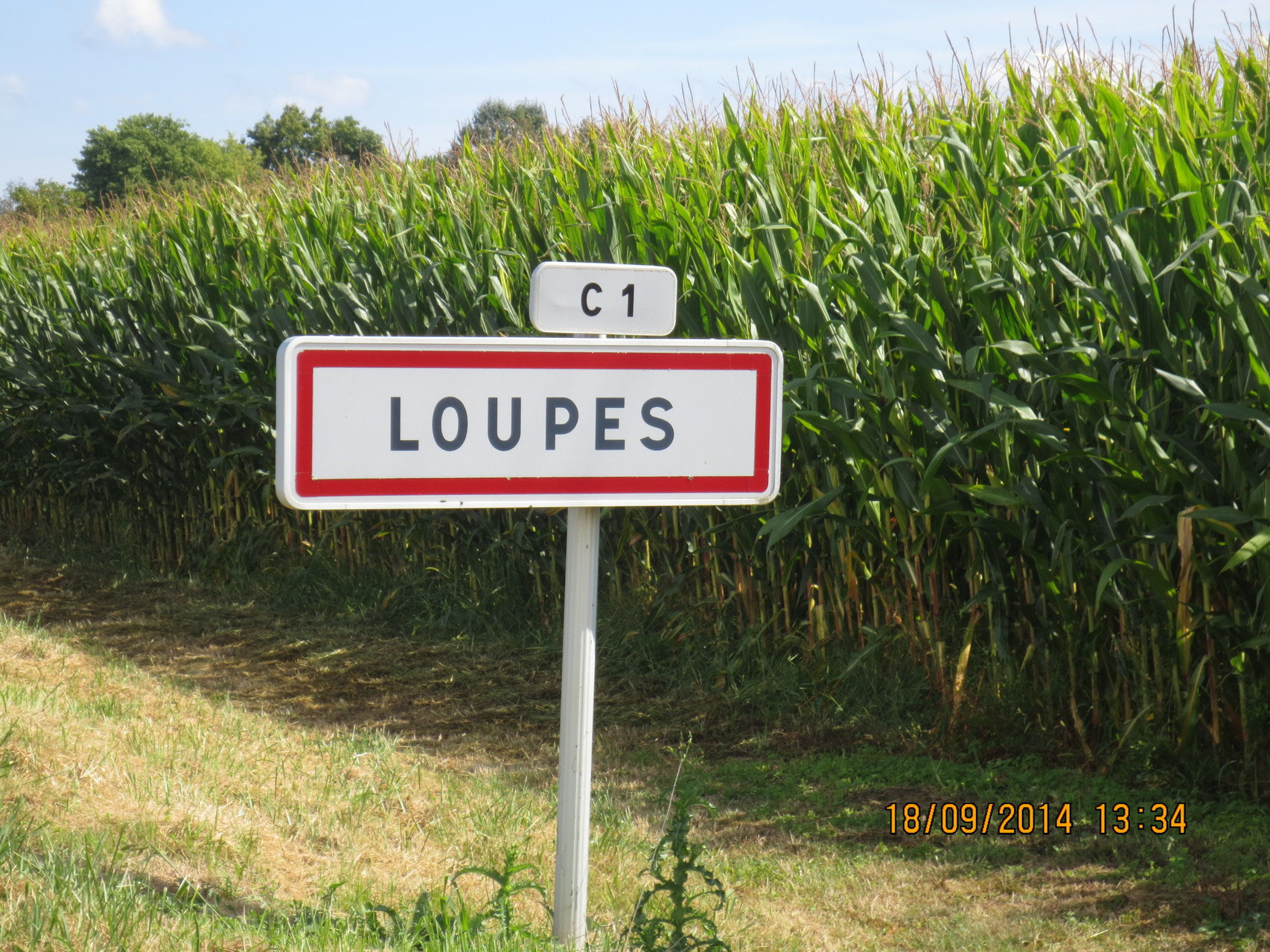 Présentation de la commune de Loupes Mairie de Loupes (Gironde)