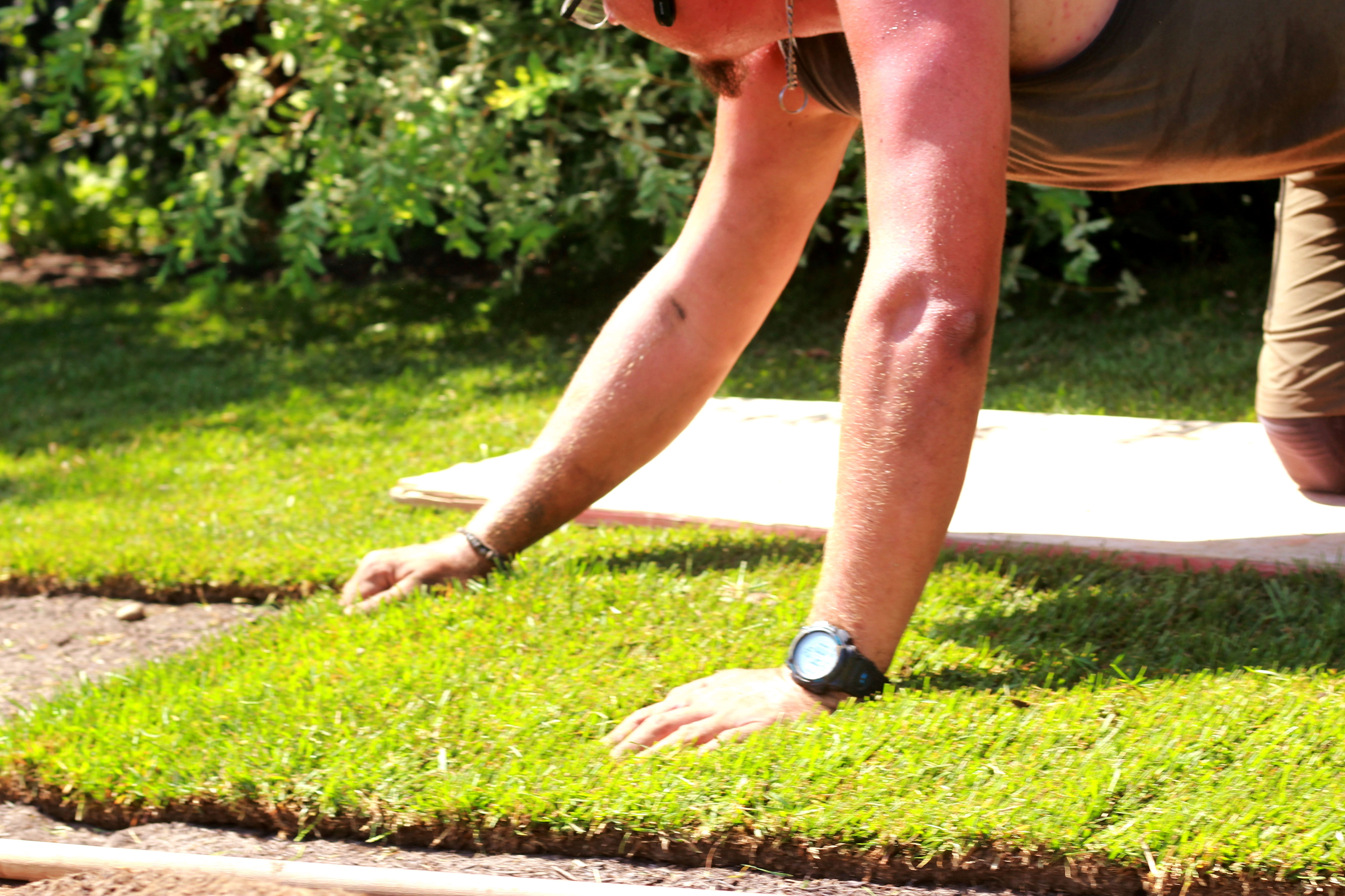 Der Rasen - GartenXclusiv