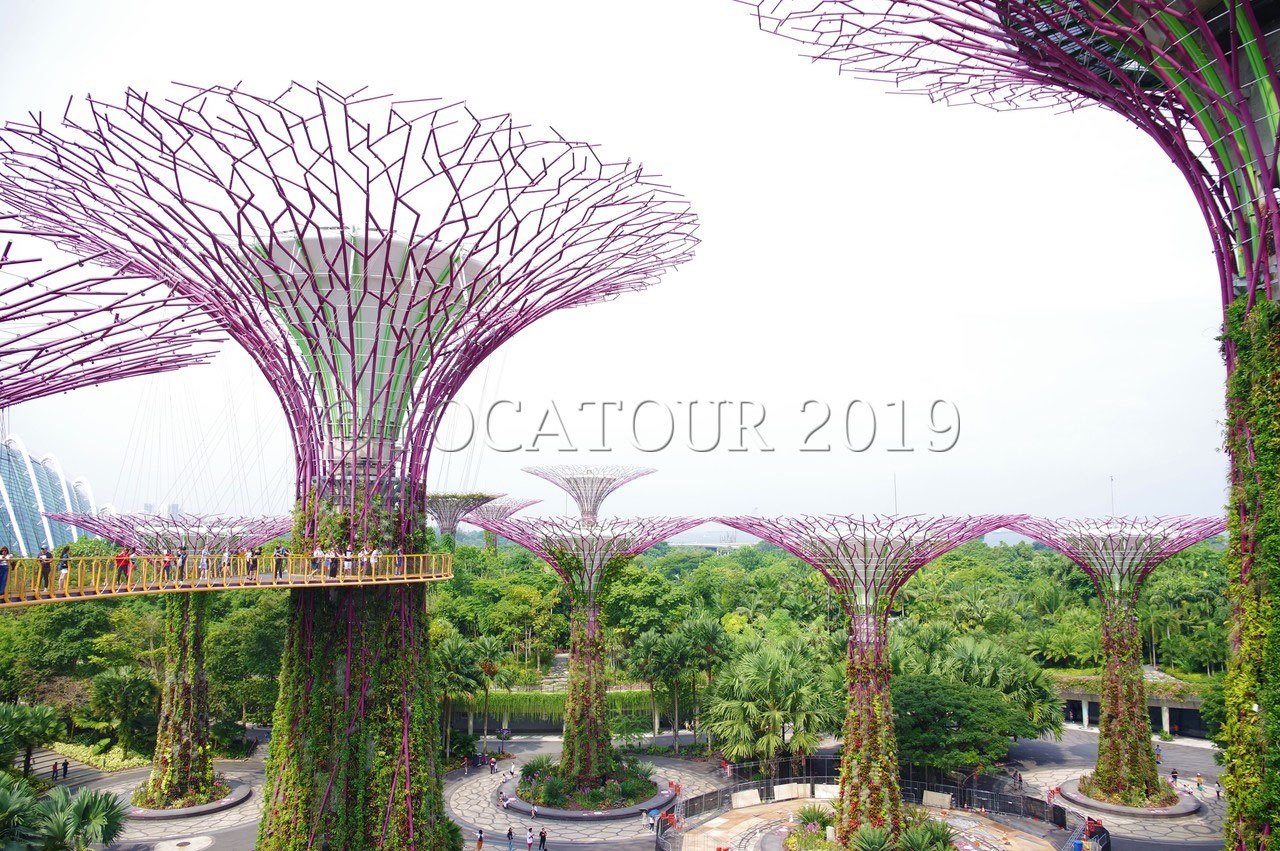 168 Singapour Les Jardins De La Baie Site De Yocatour