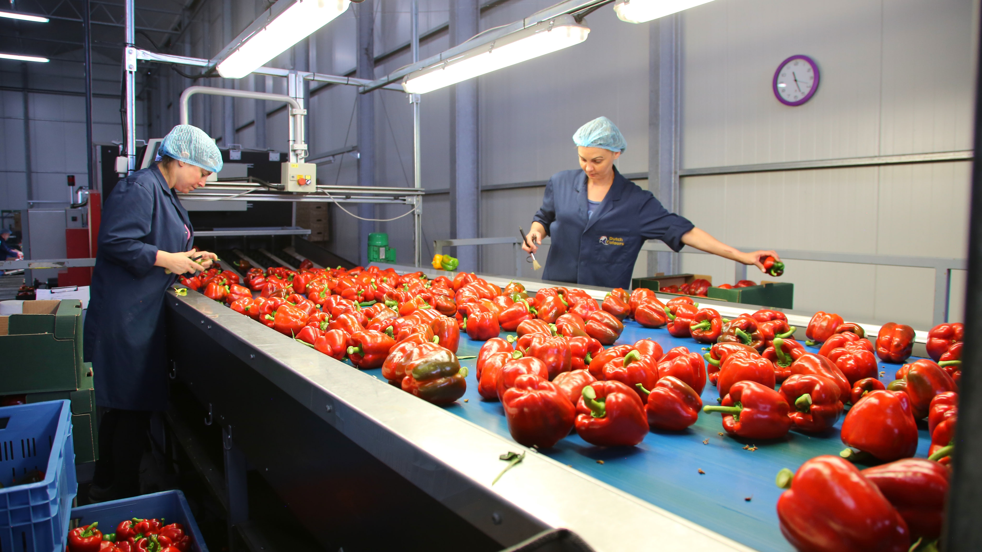 High tech food solutions Wageningen MFC