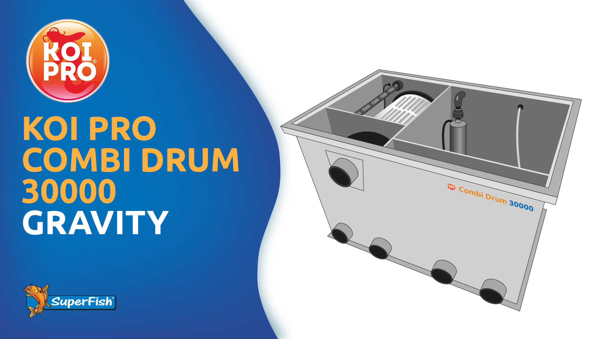 1 les tambours azur bassin koi