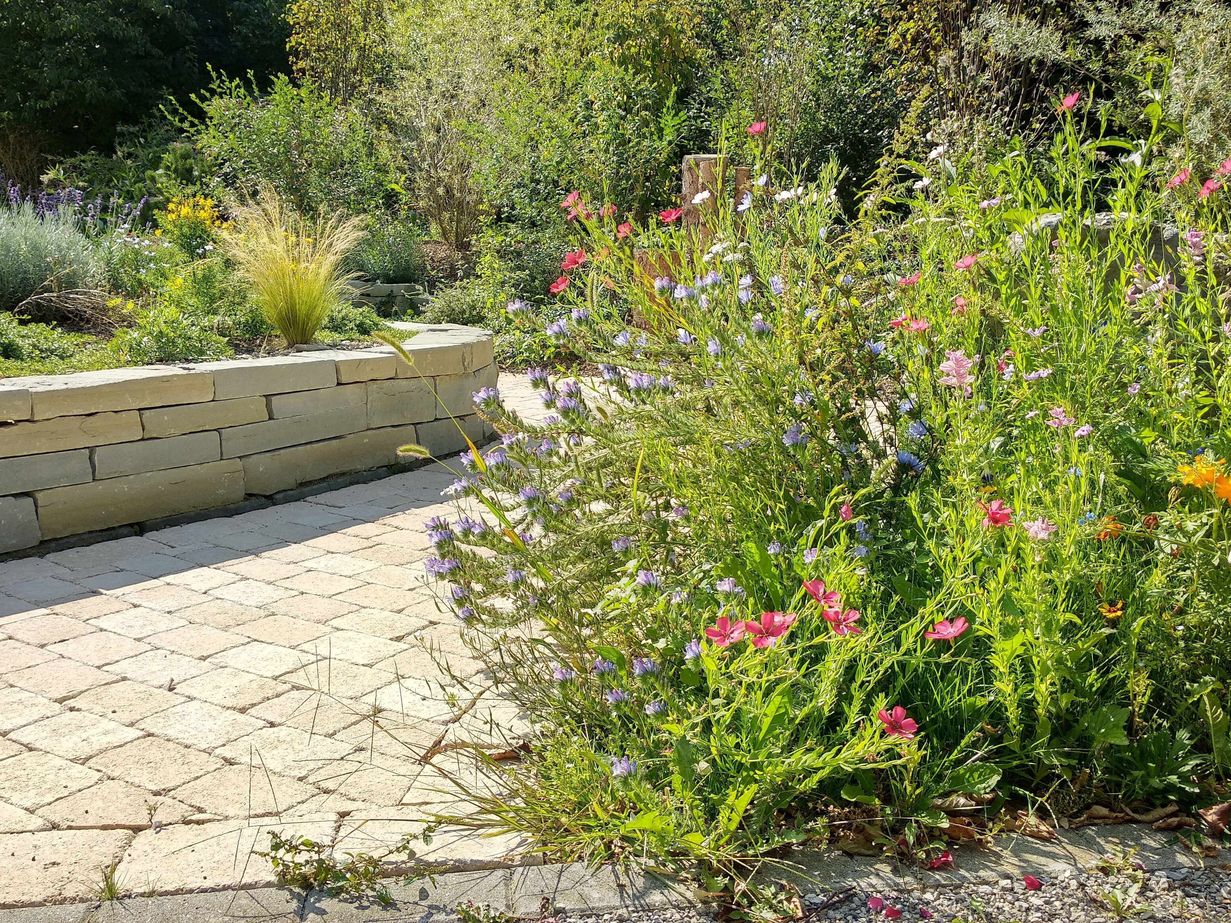 Naturnah - Vielfältige Lebensräume - Rust & Co. AG, Gartenbau Feldbrunnen