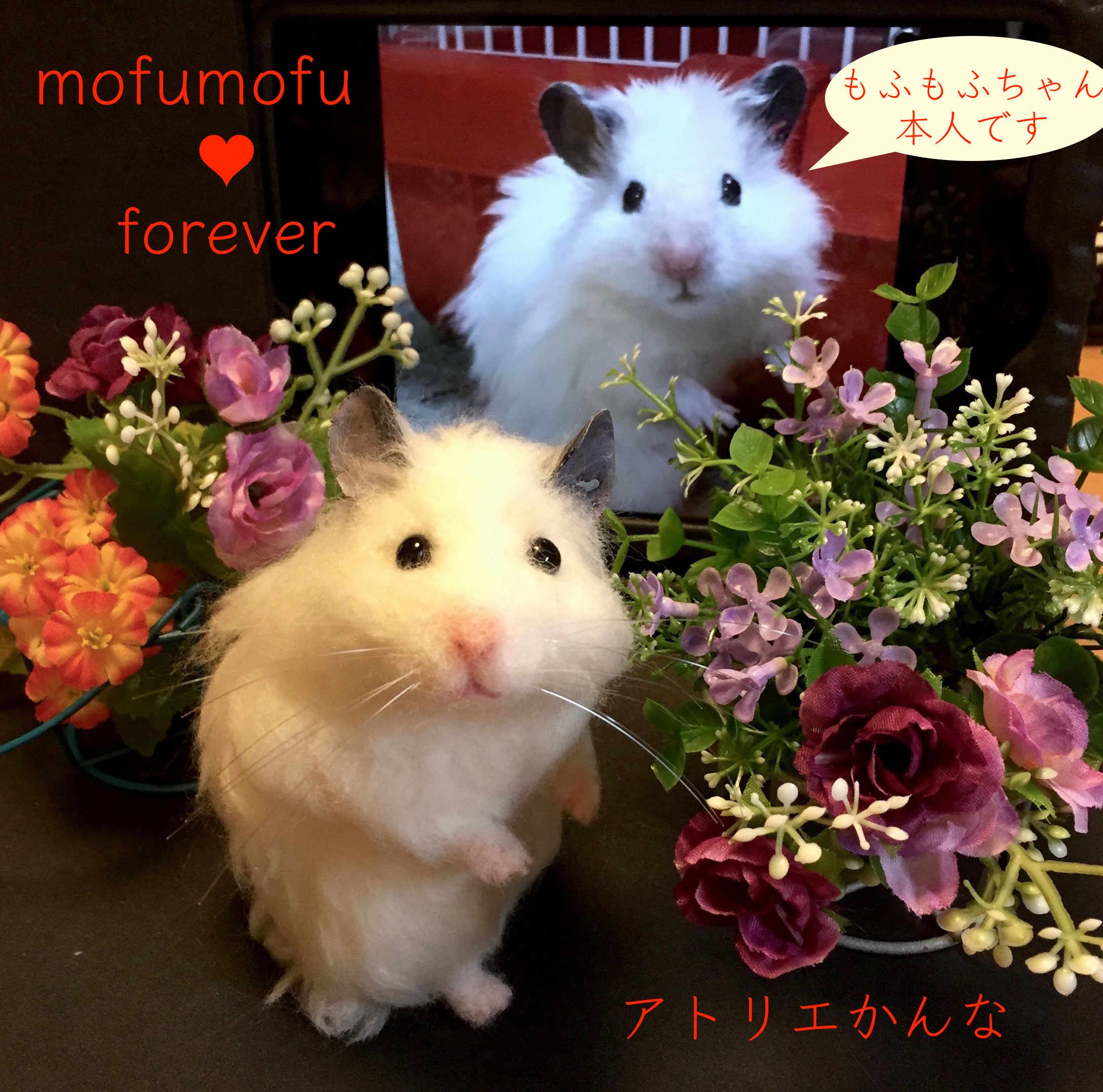 ウサギ/ハムスターなど 007 - bokusaiga ページ! ウサギ/ハムスターなど 007 - bokusaiga ページ!