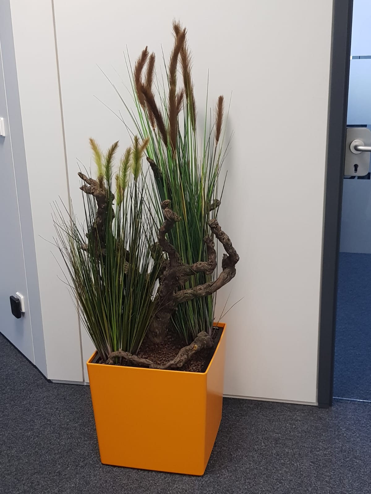 Raumbegrünung, Hydrokultur, Vertikalbegrünung, Gartendesign - botanic