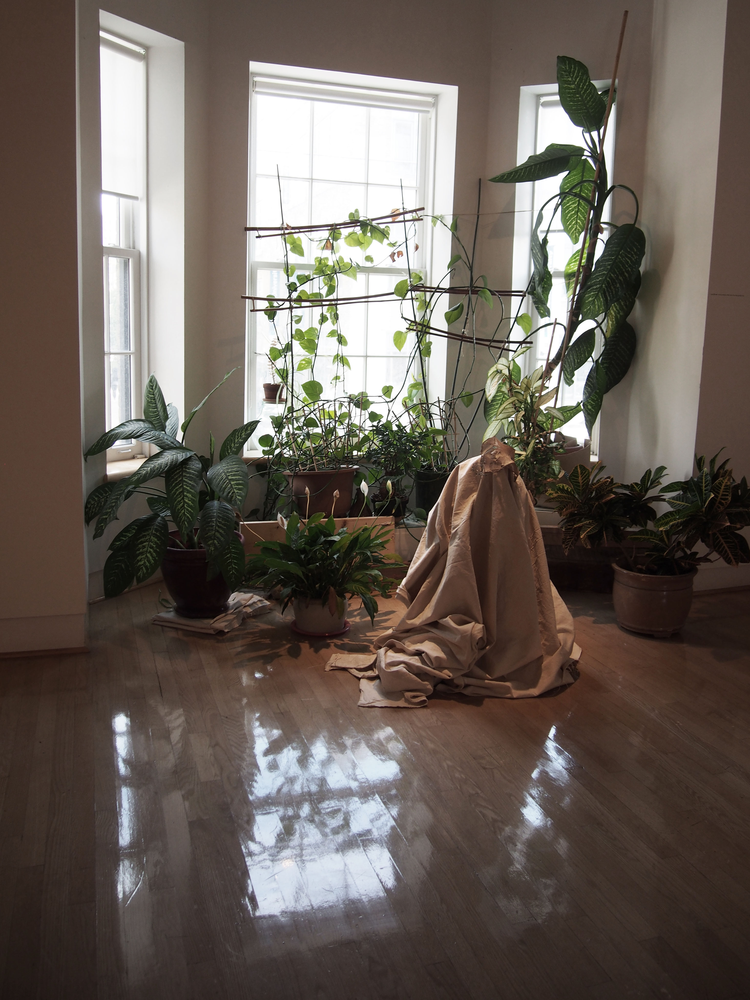 Finding Form Gallery Arcturus The Daily News