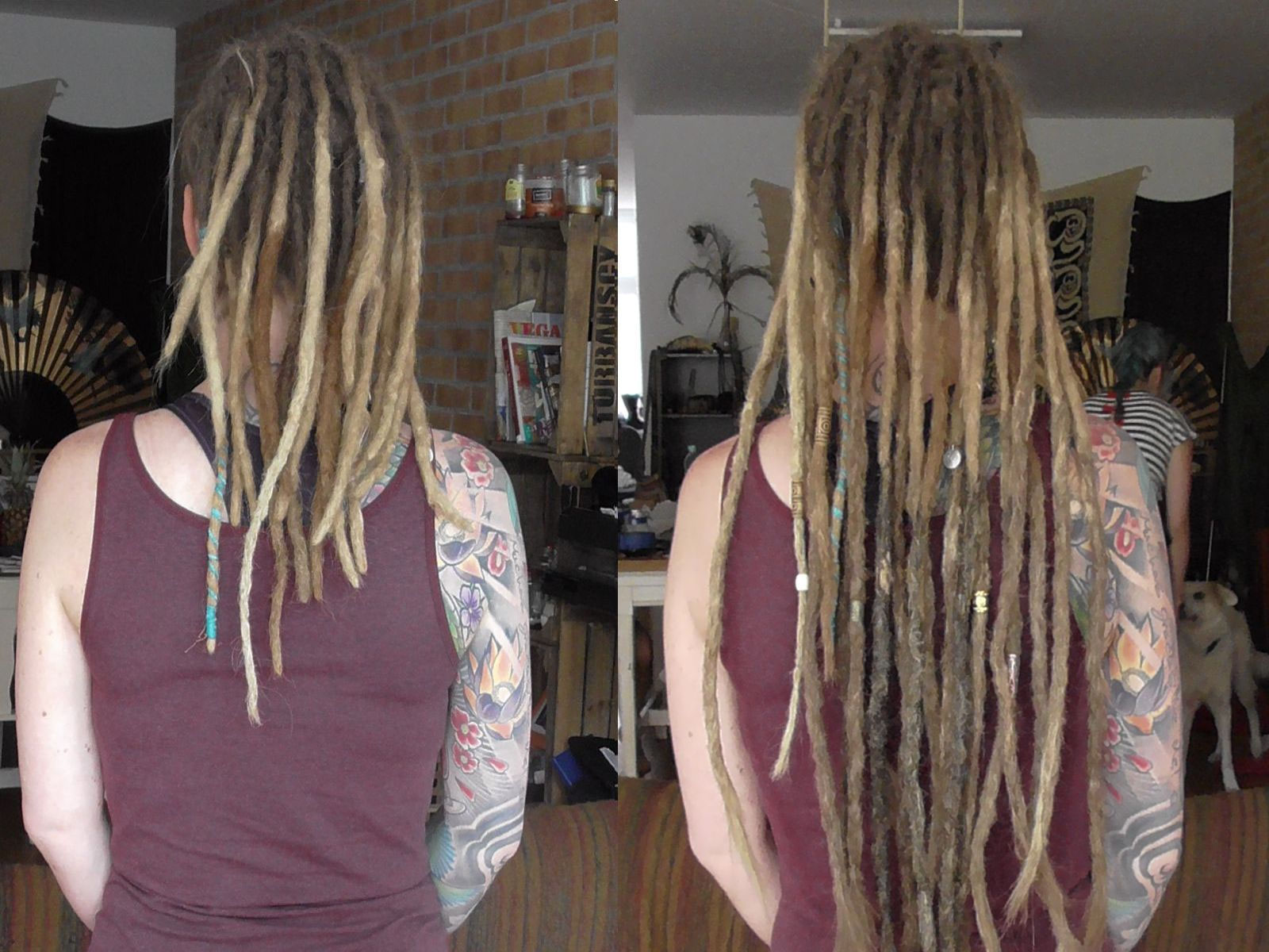 Dreadextensions Gatto Tribe Dreaderstellung & Ansatzpflege