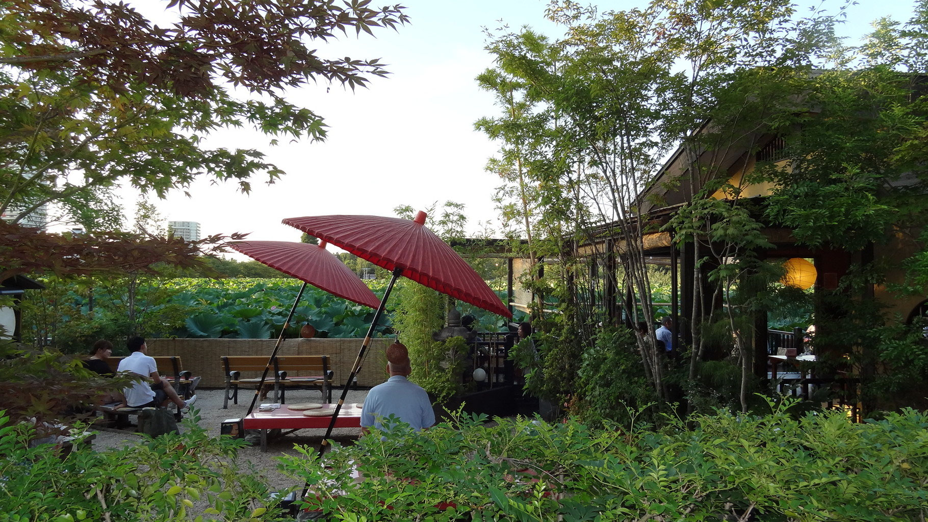 Seiki in Japan - seikimitvidans Webseite!