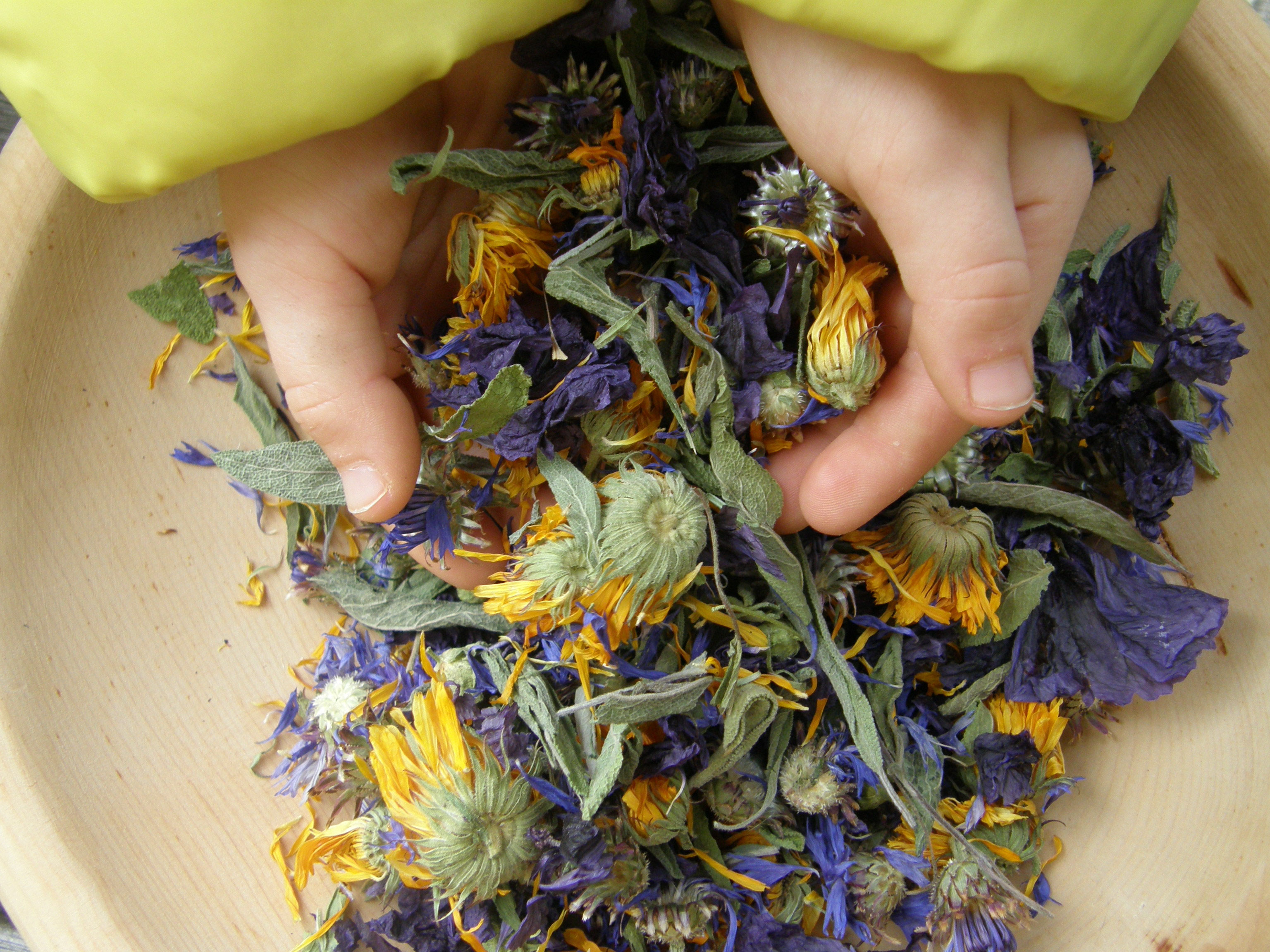 Partner - TEH Traditionelle Europäische Heilkunde