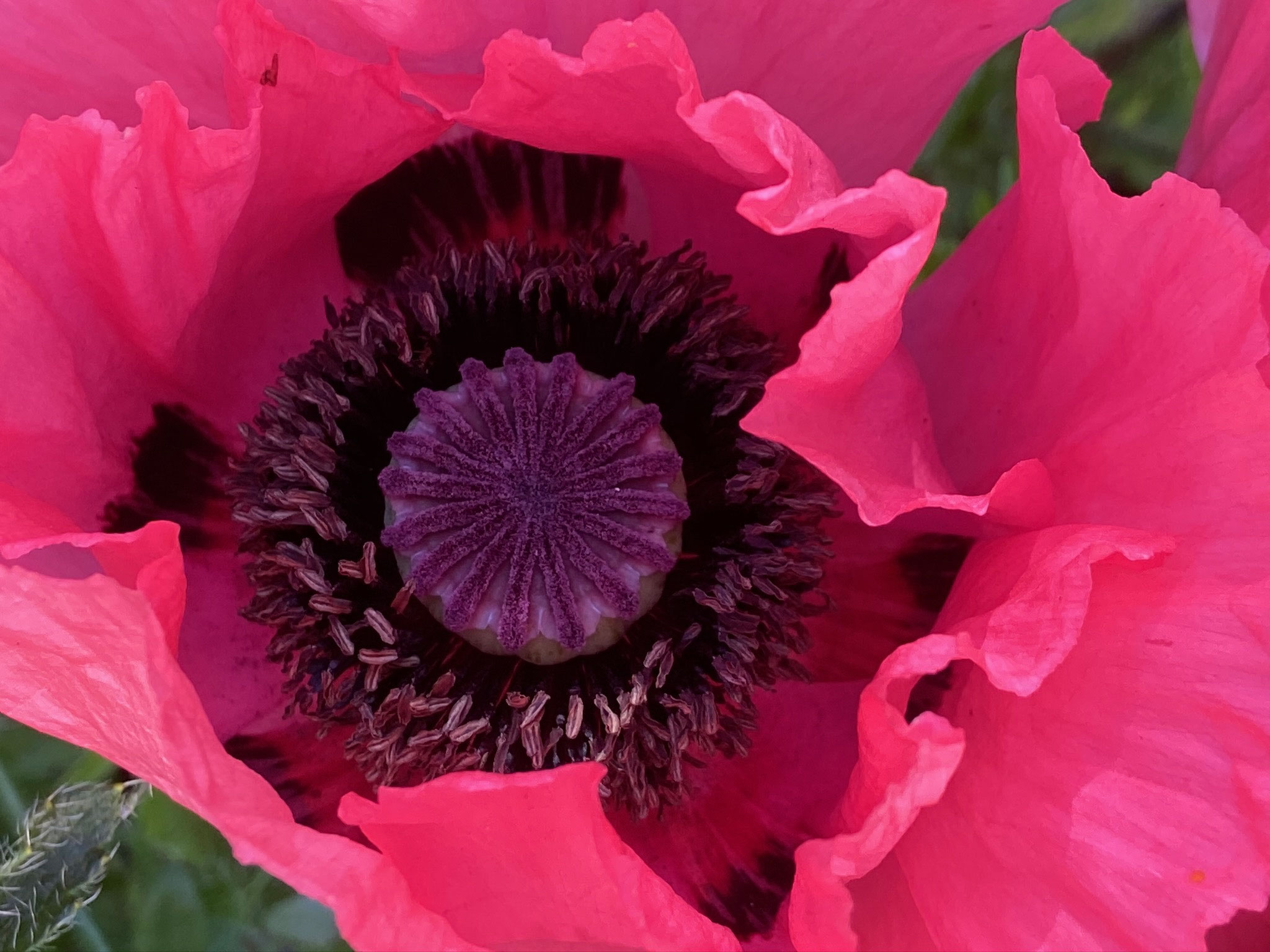 Kontakt aufnehmen mo papierjuwelen