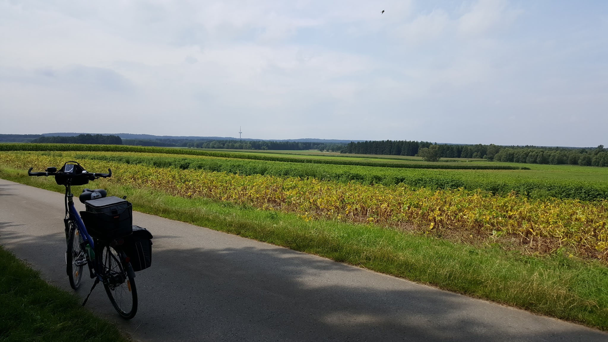 fahrrad böttcher heide