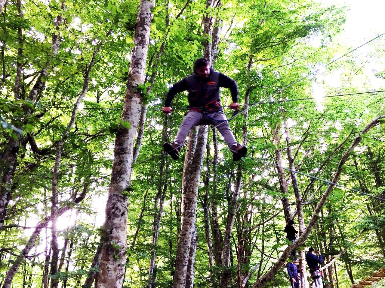 Il Bosco Sospeso Parco Avventura Calabria Cenadi Catanzaro