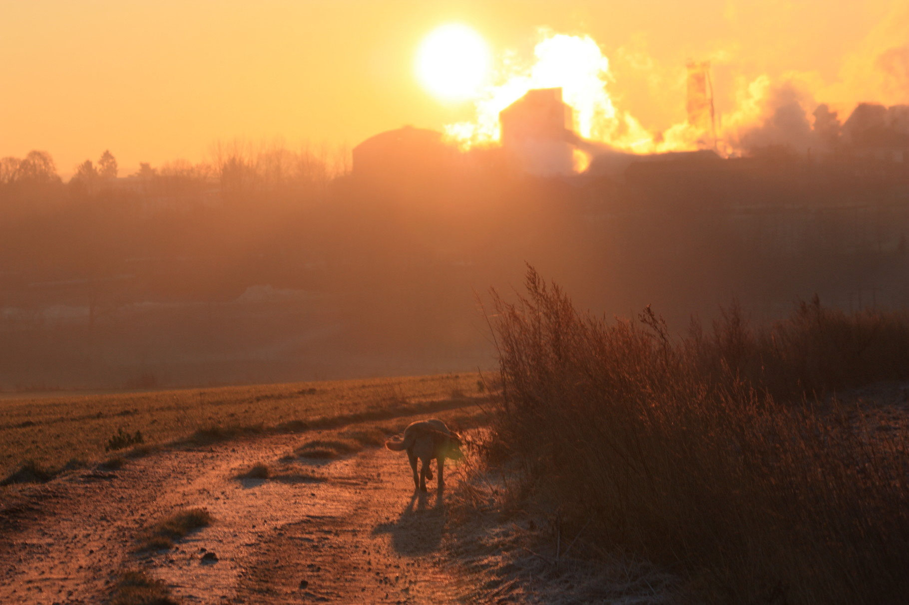 La sucrerie de Sainte Emilie Site de villersfaucon