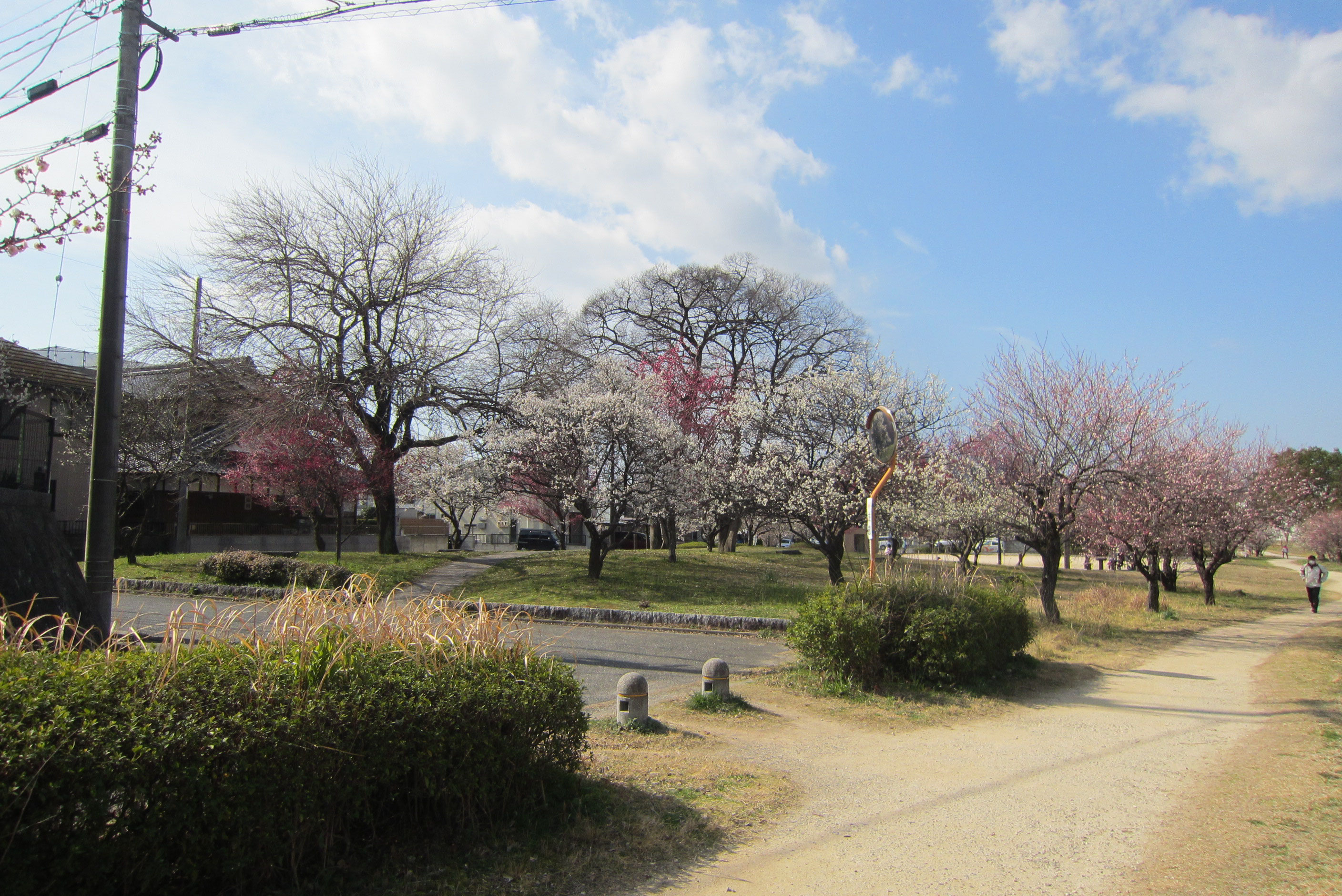 せせらぎ公園の風景 - uou-seseragi ページ！