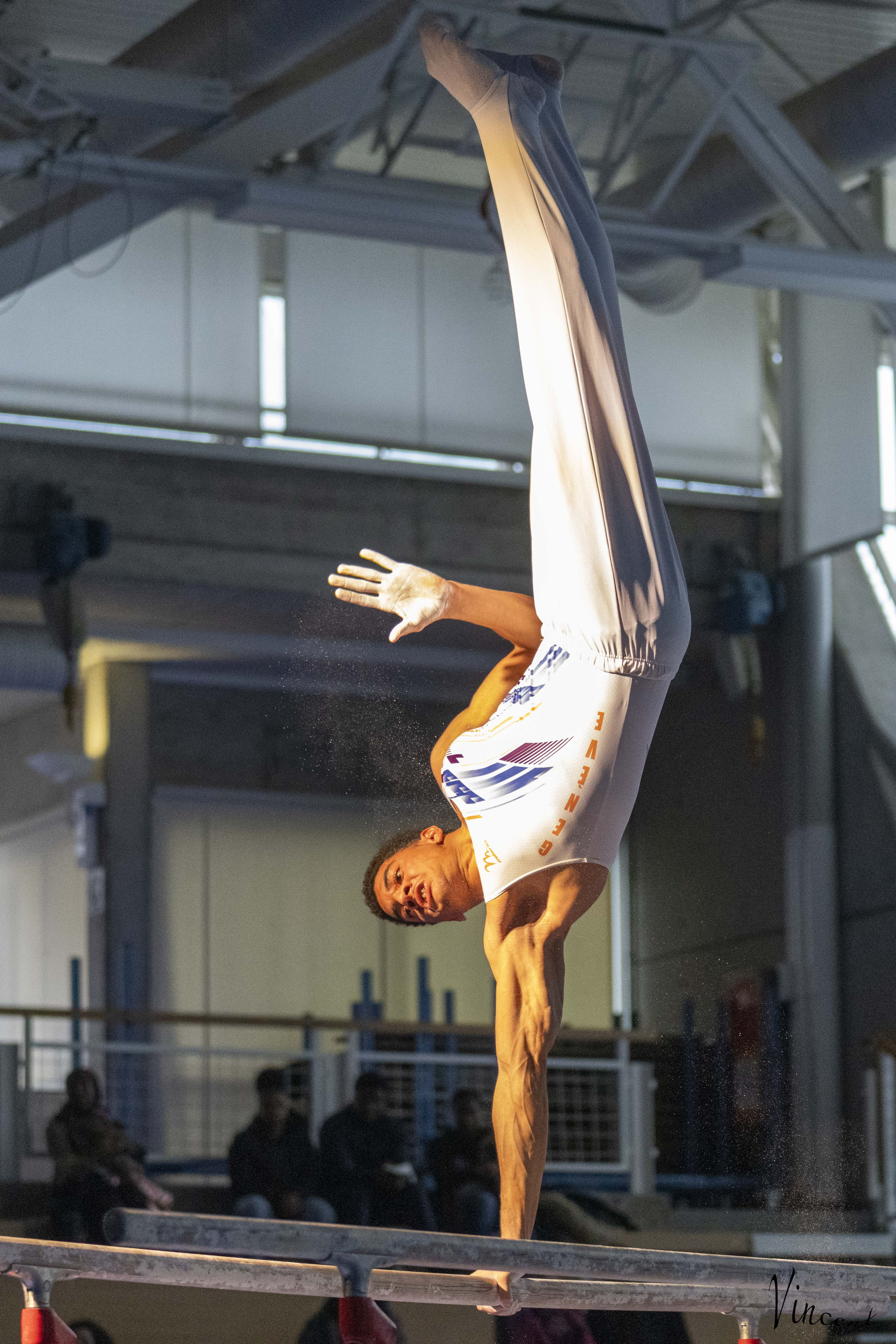 gym artistique bois des frères