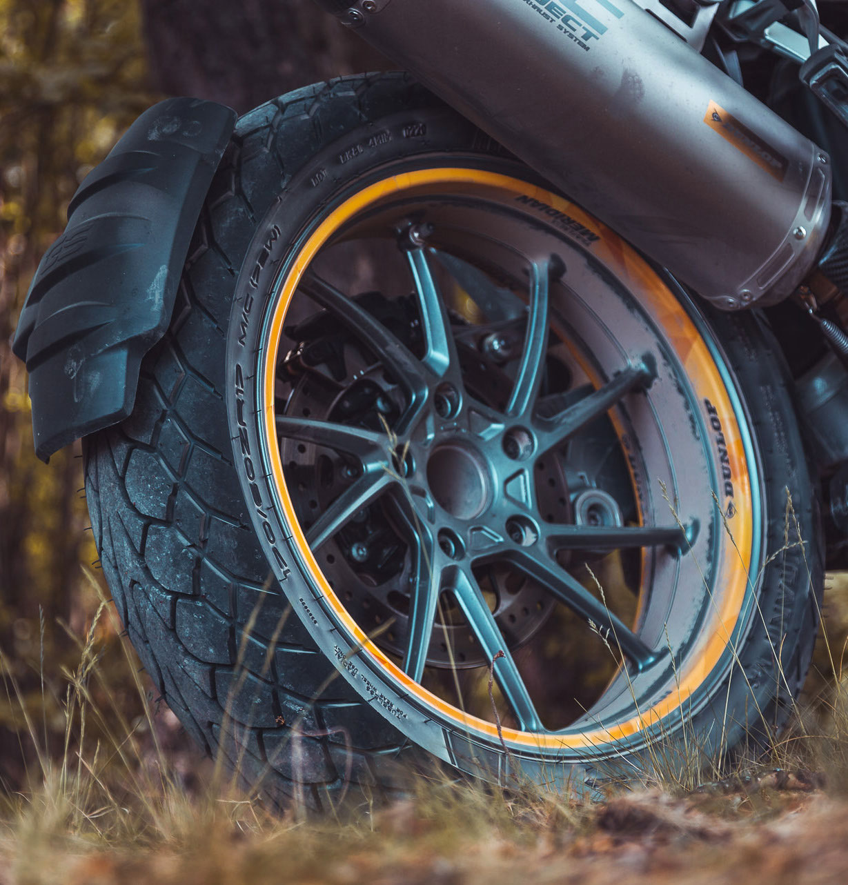 Motorräder und private • Website über - Reisen Wolfs Mutant Dunlop