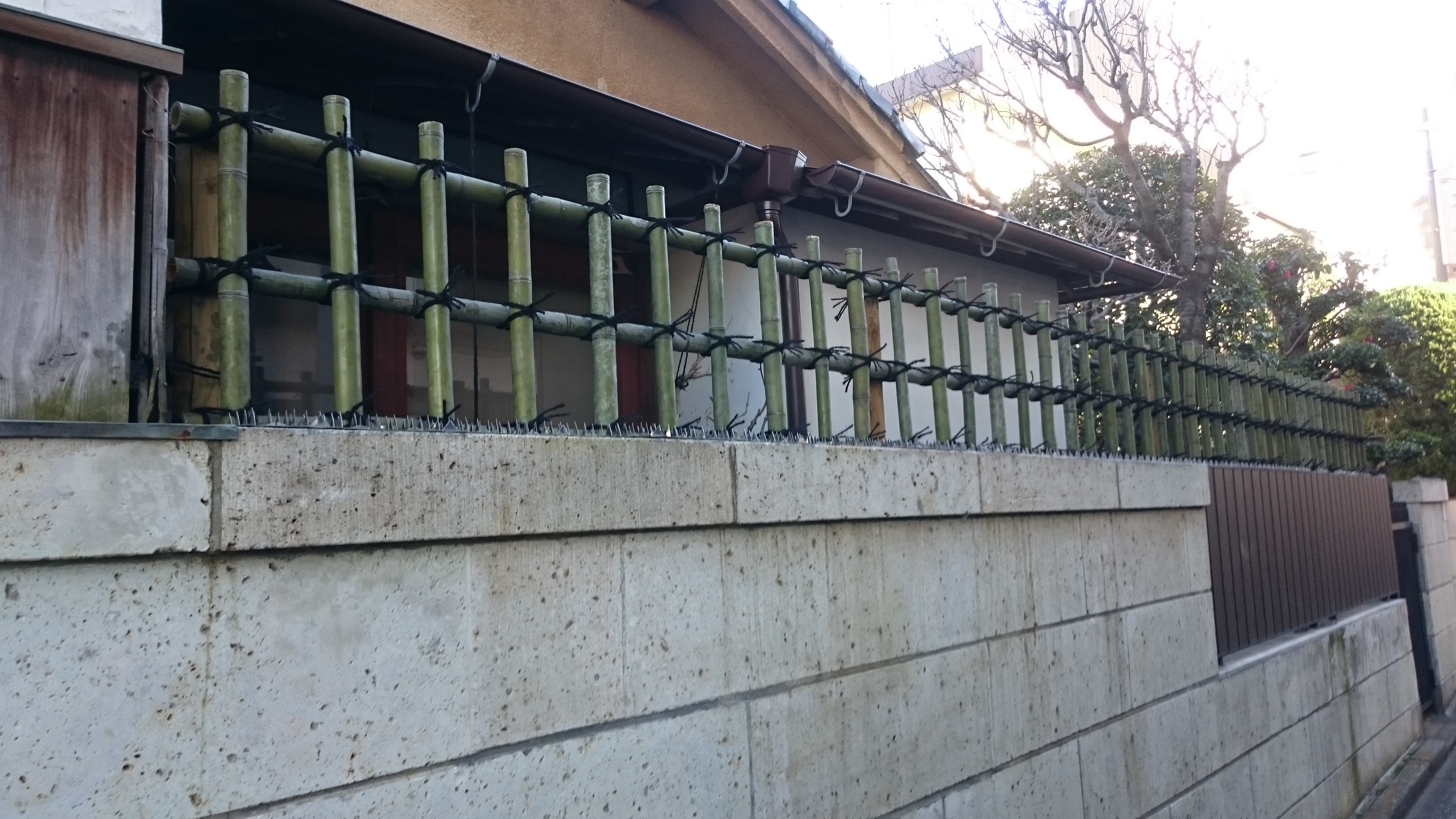 塀の上の垣根 造園本橋園 塀の上の垣根 造園本橋園