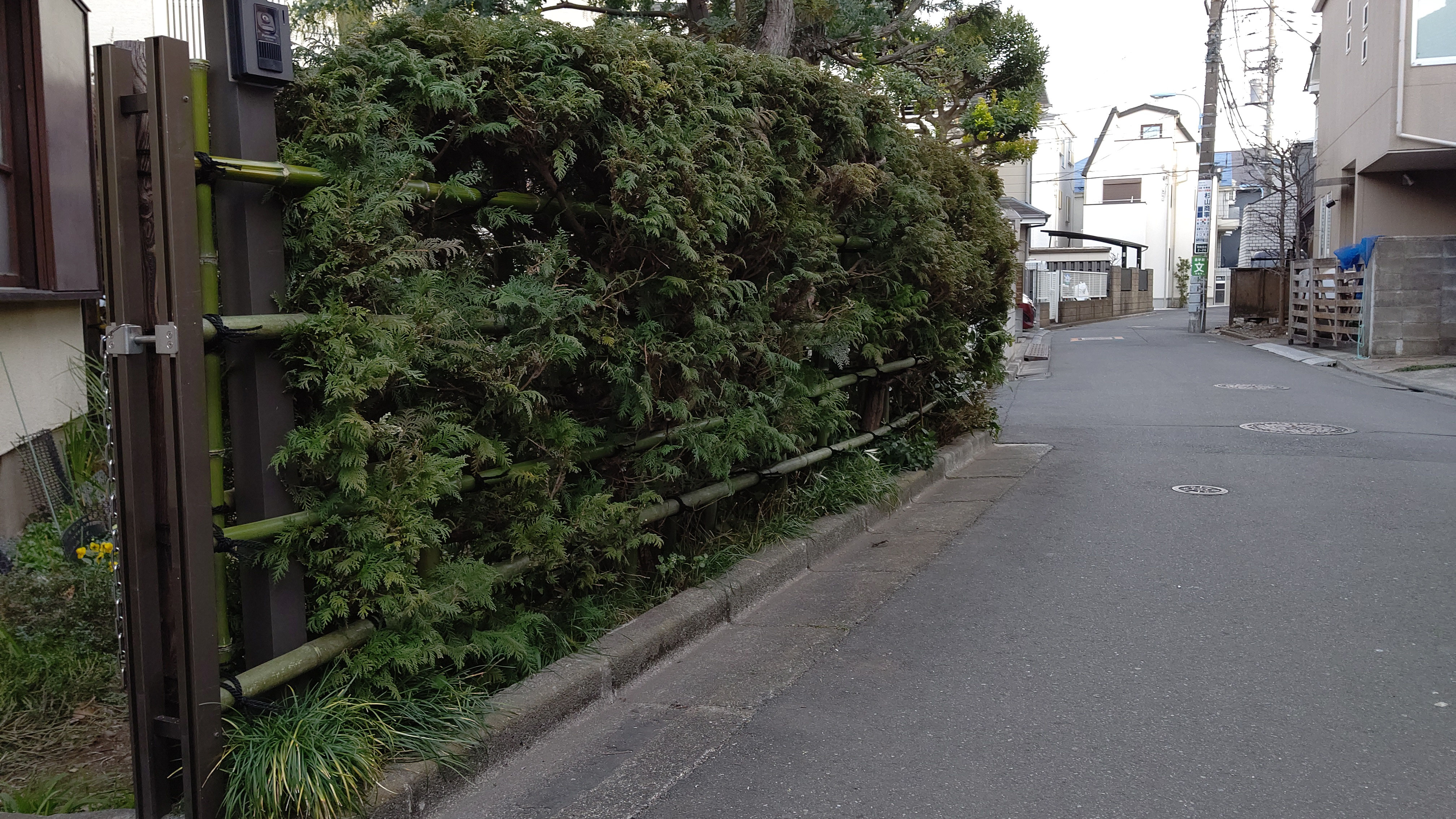 生垣竹交換 造園本橋園