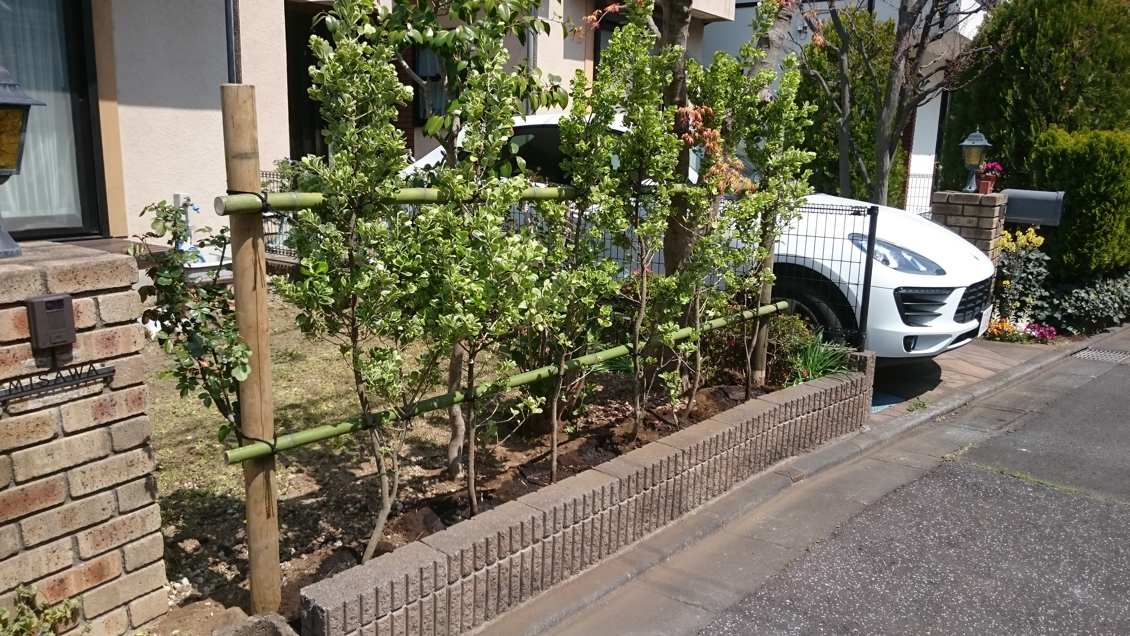 ギンマサキ生垣 造園本橋園