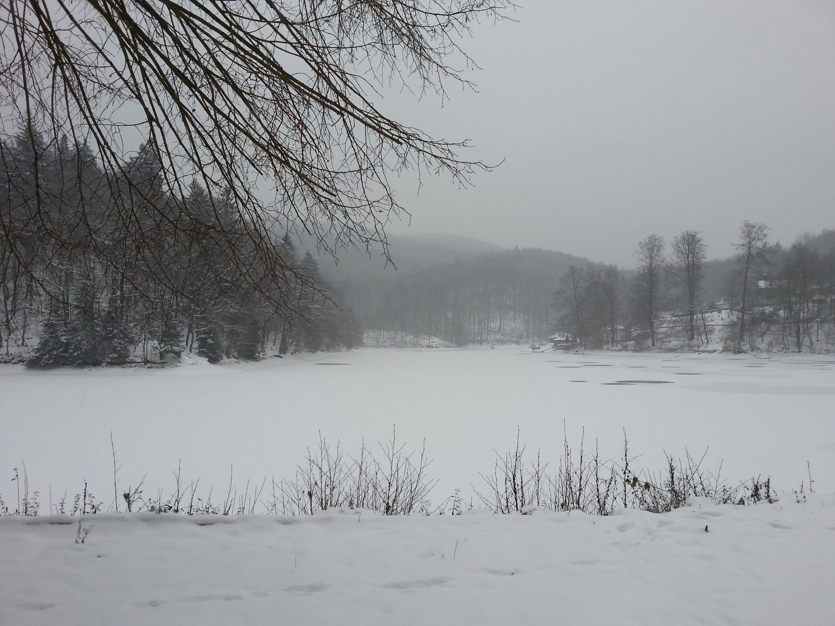 Wiesenbeker Teich im Schnee Homepage