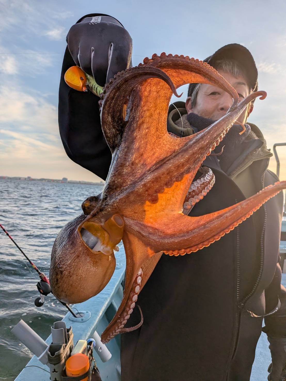 朝便タコ 今日はパーフェクトに釣れました。良い型のタコのアタリも