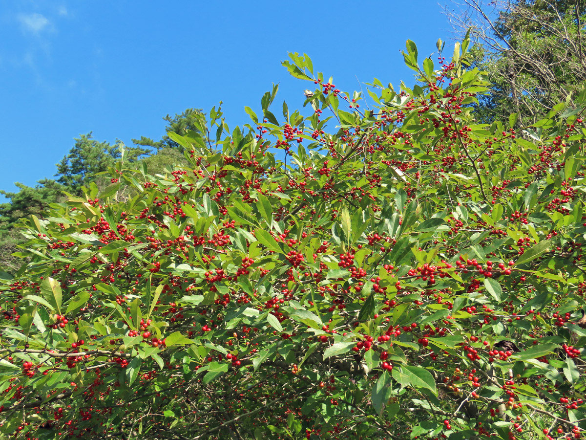 情報（2023/09） - 山門水源の森