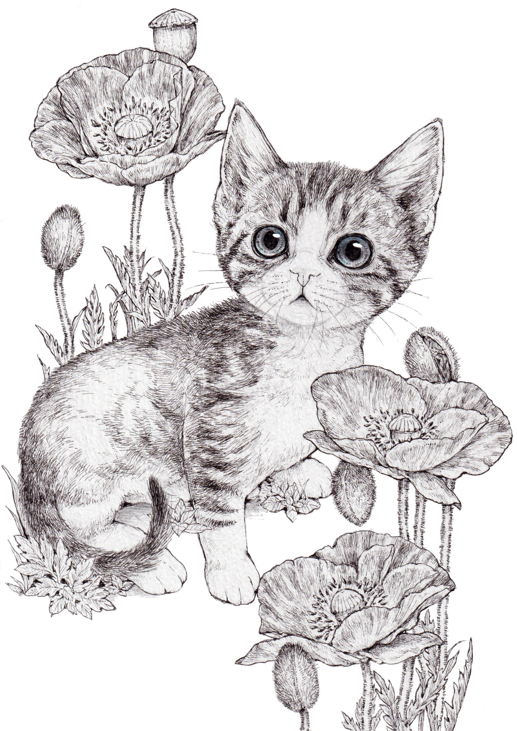 ホーム ねこ 花 妖精の紙小物専門店 ギャラリー ショップ ねこの引出し ホーム ねこ 花 妖精の紙小物専門店 ギャラリー ショップ ねこの引出し