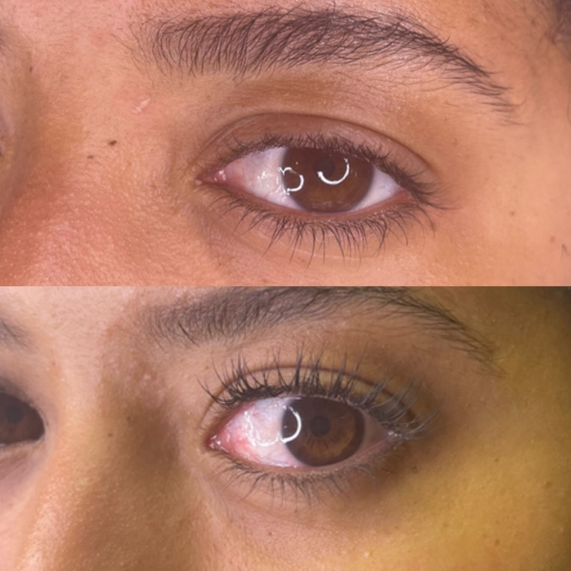 Réhaussement / Mascara permanent Site de lenouveauregard