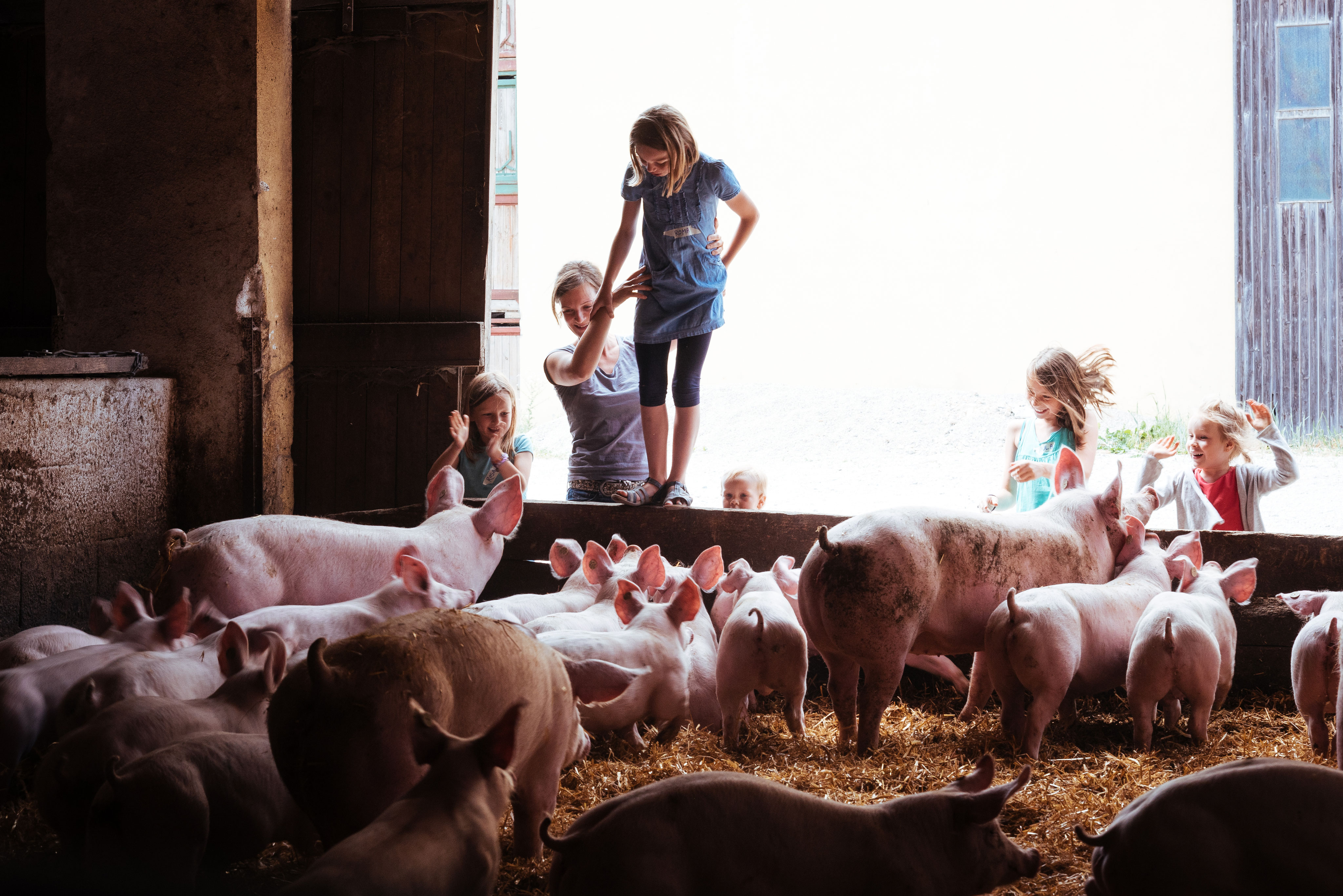 Webseite Vom Kinderbauernhof Kirchdorf E V Projekte