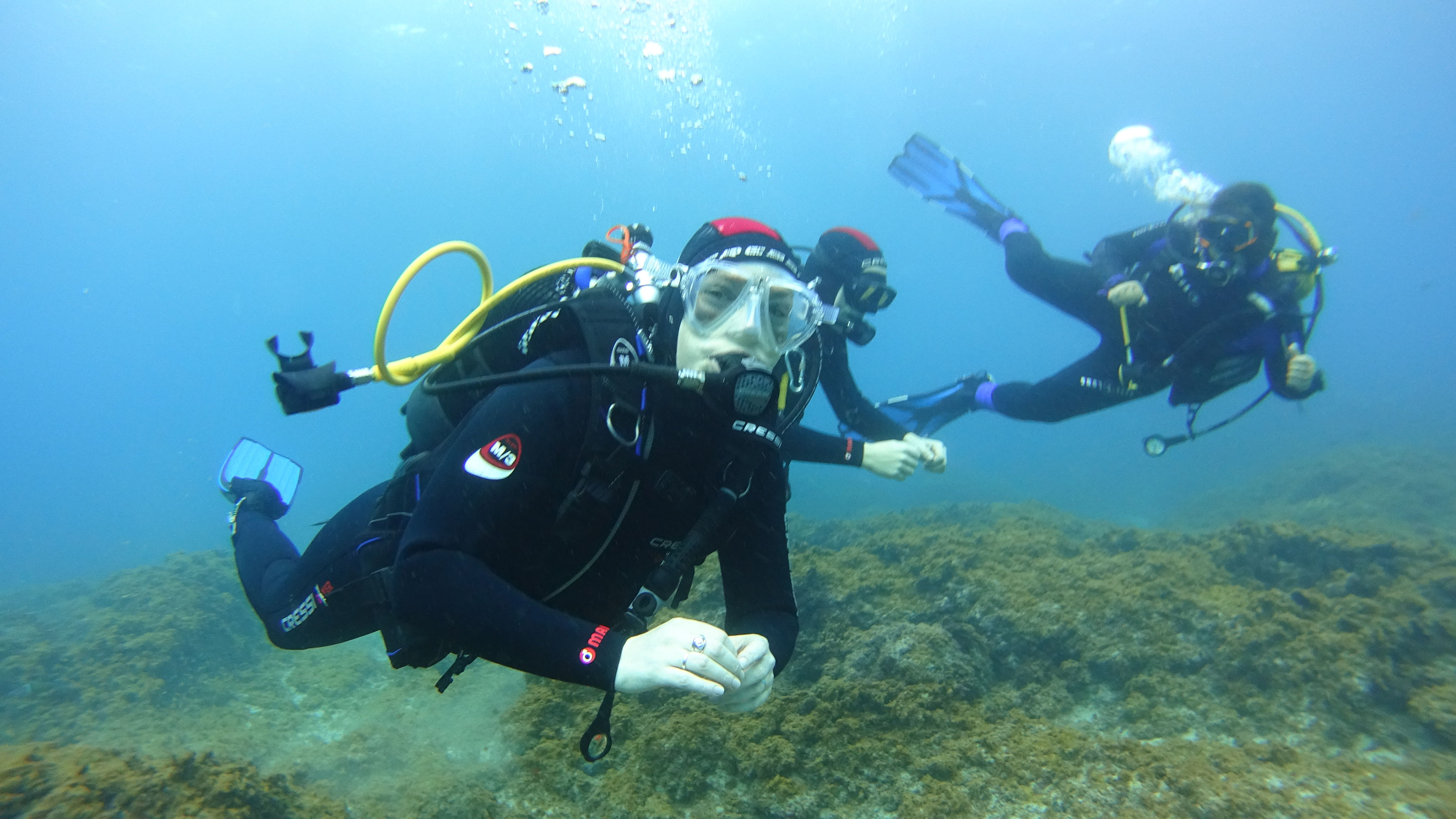 sunny travel buceo