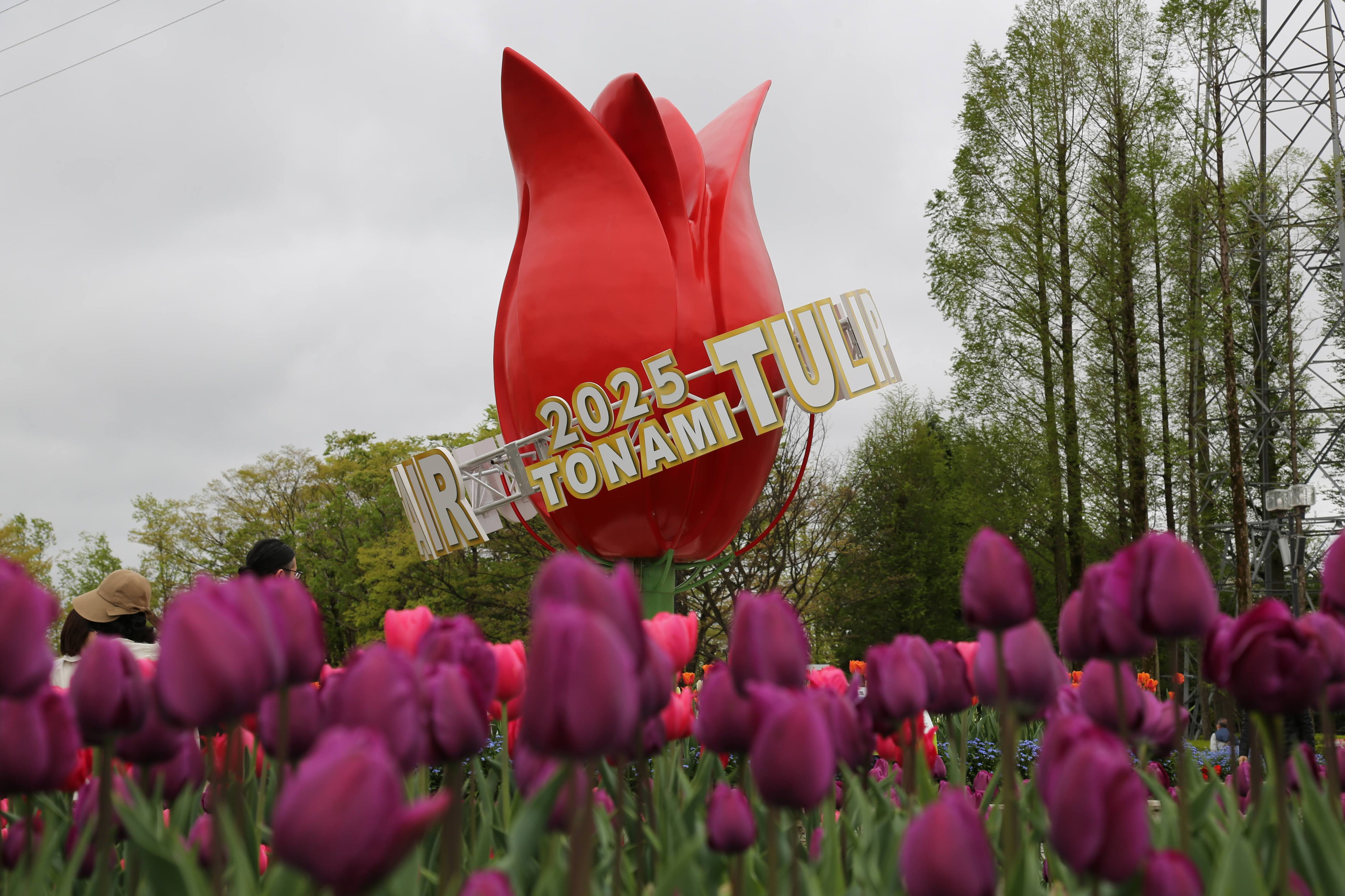 とっておきのチューリップフェア - とっておきのチューリップフェア