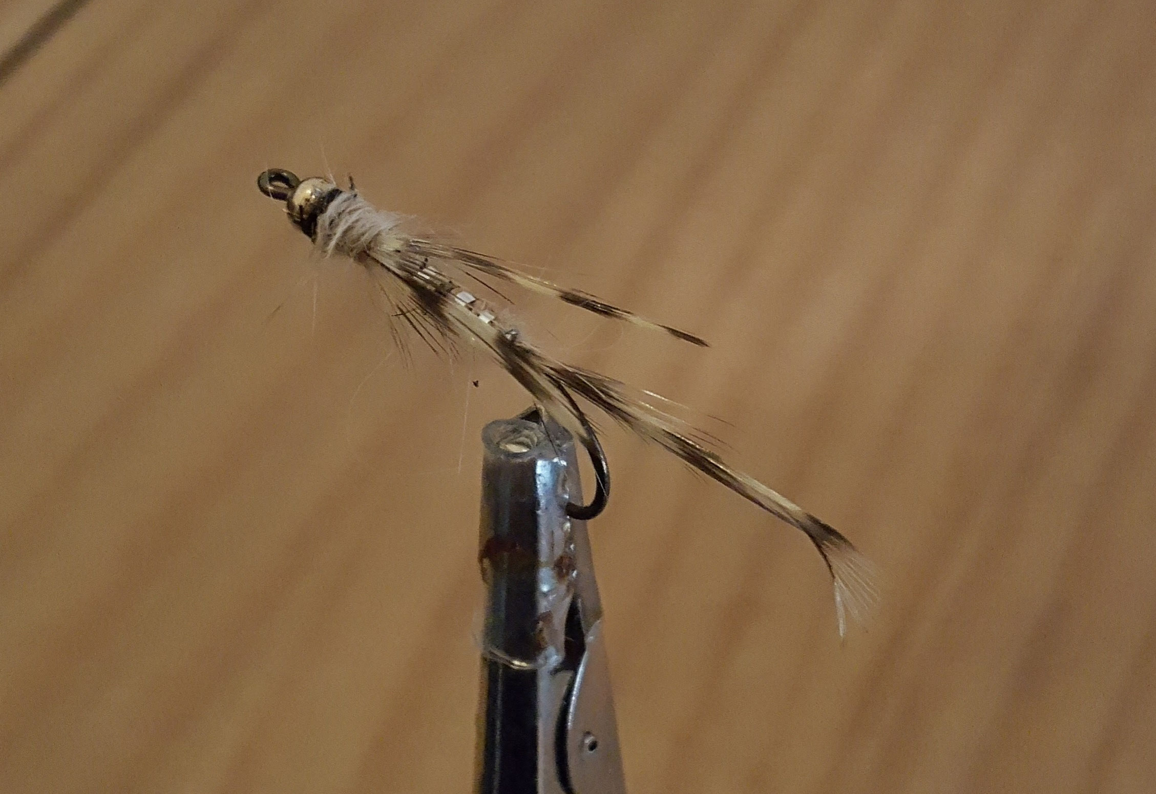 Neues vom Fliegenfischer - fliegenfischer-sachsen