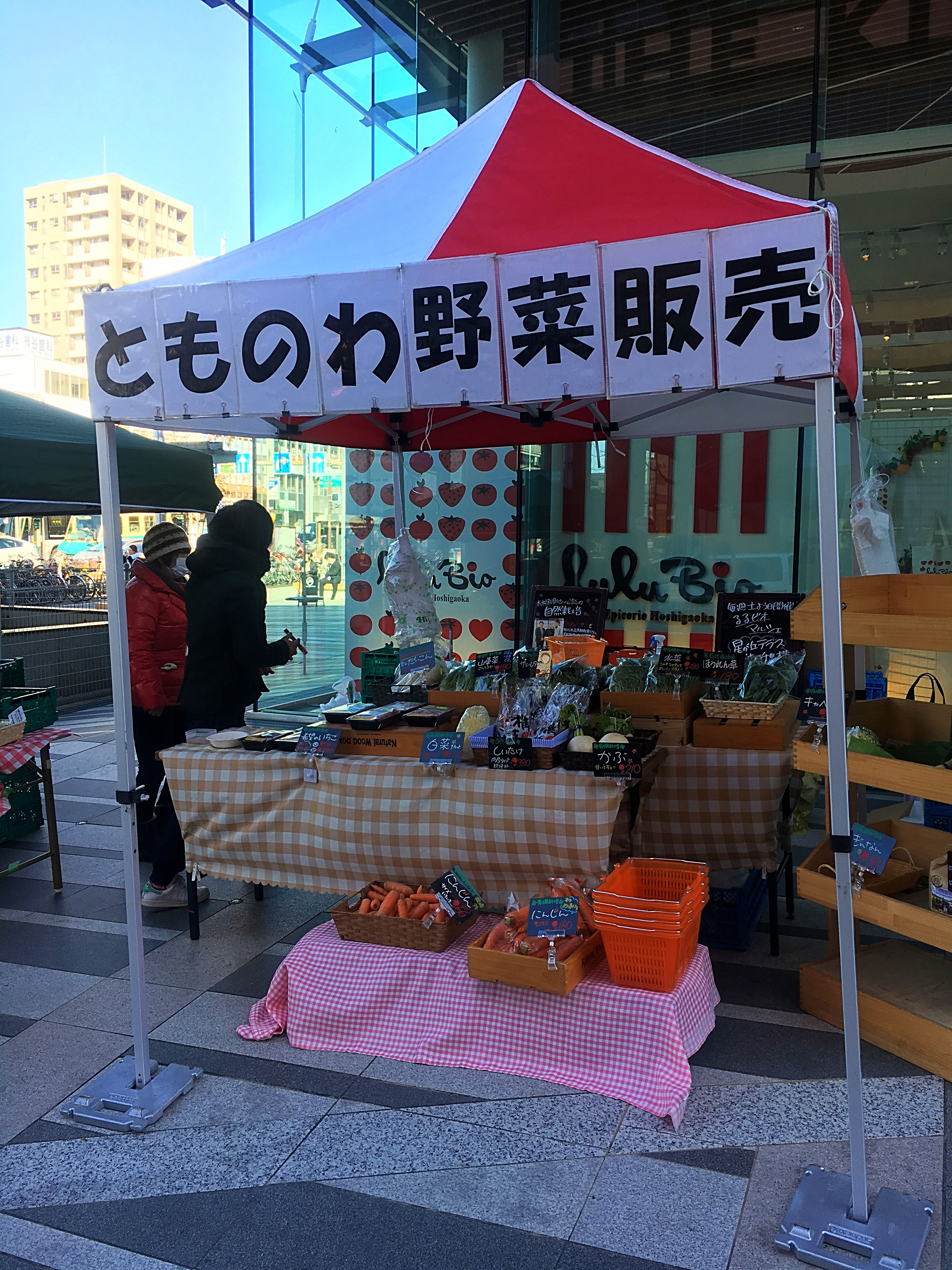 奇跡のリンゴ と治る力 鍼灸大津治療院 名古屋市千種区東山公園駅徒歩1分の治療院