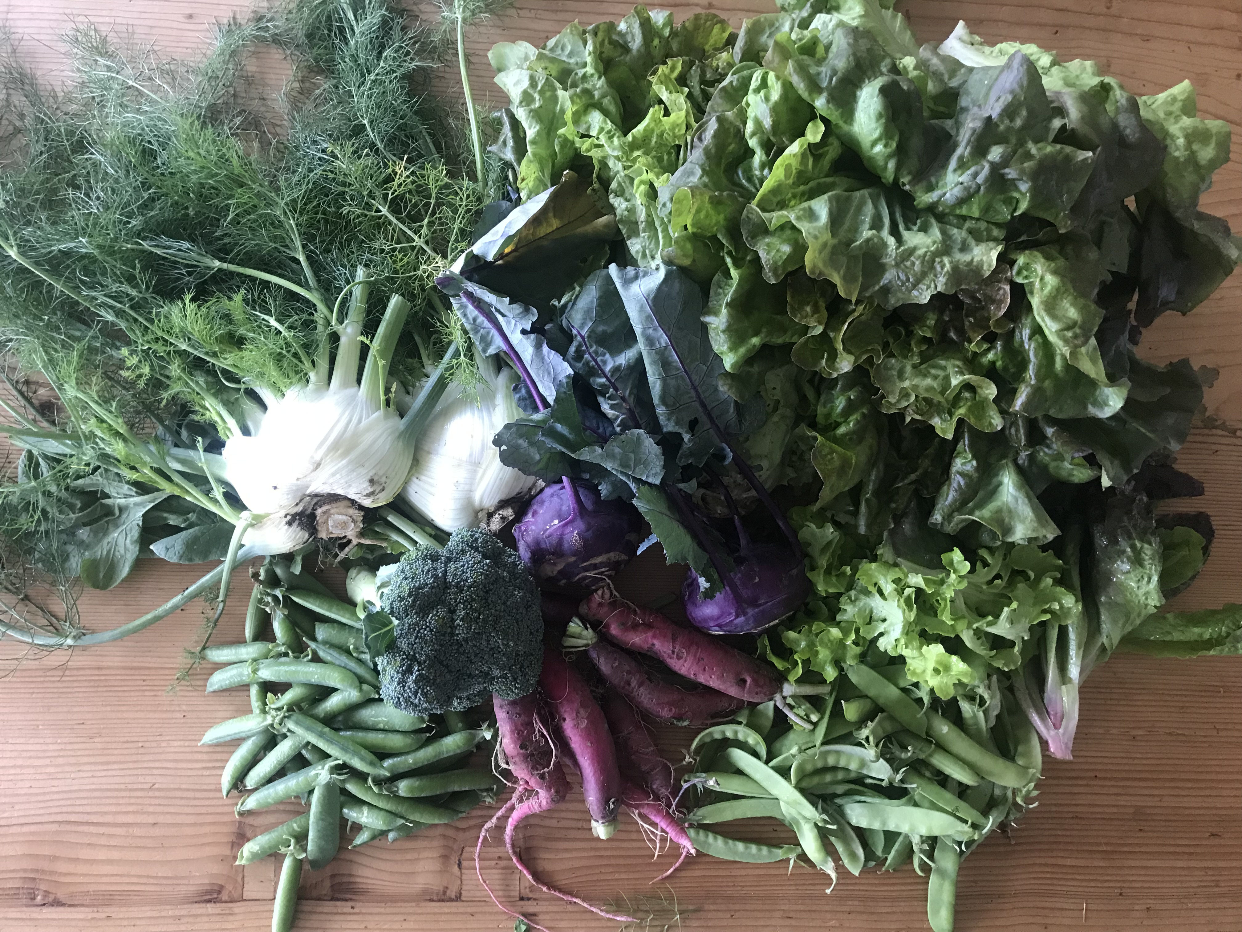 (c) Feuerundbohne.ch