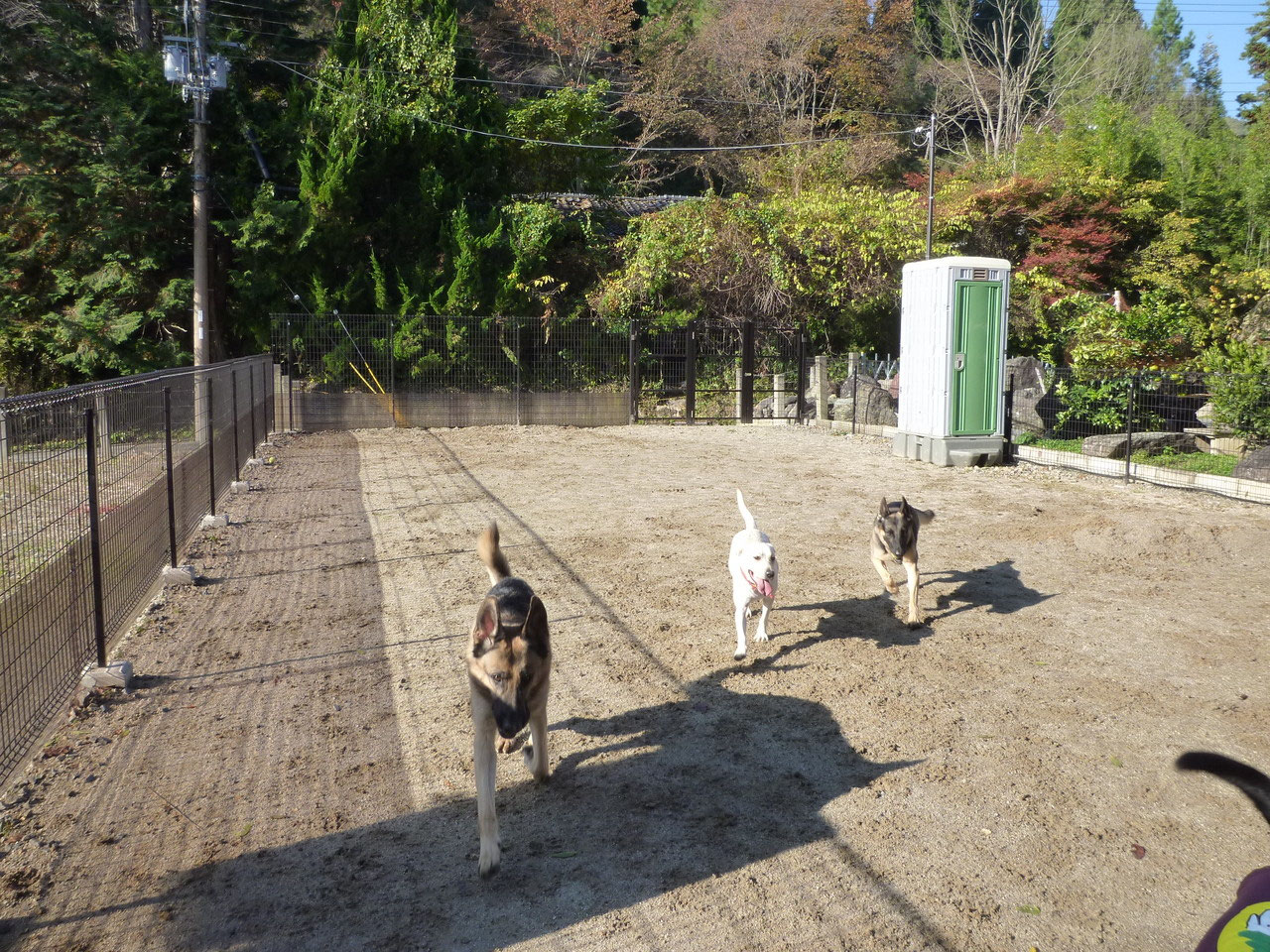 ドッグラン ワンコsports