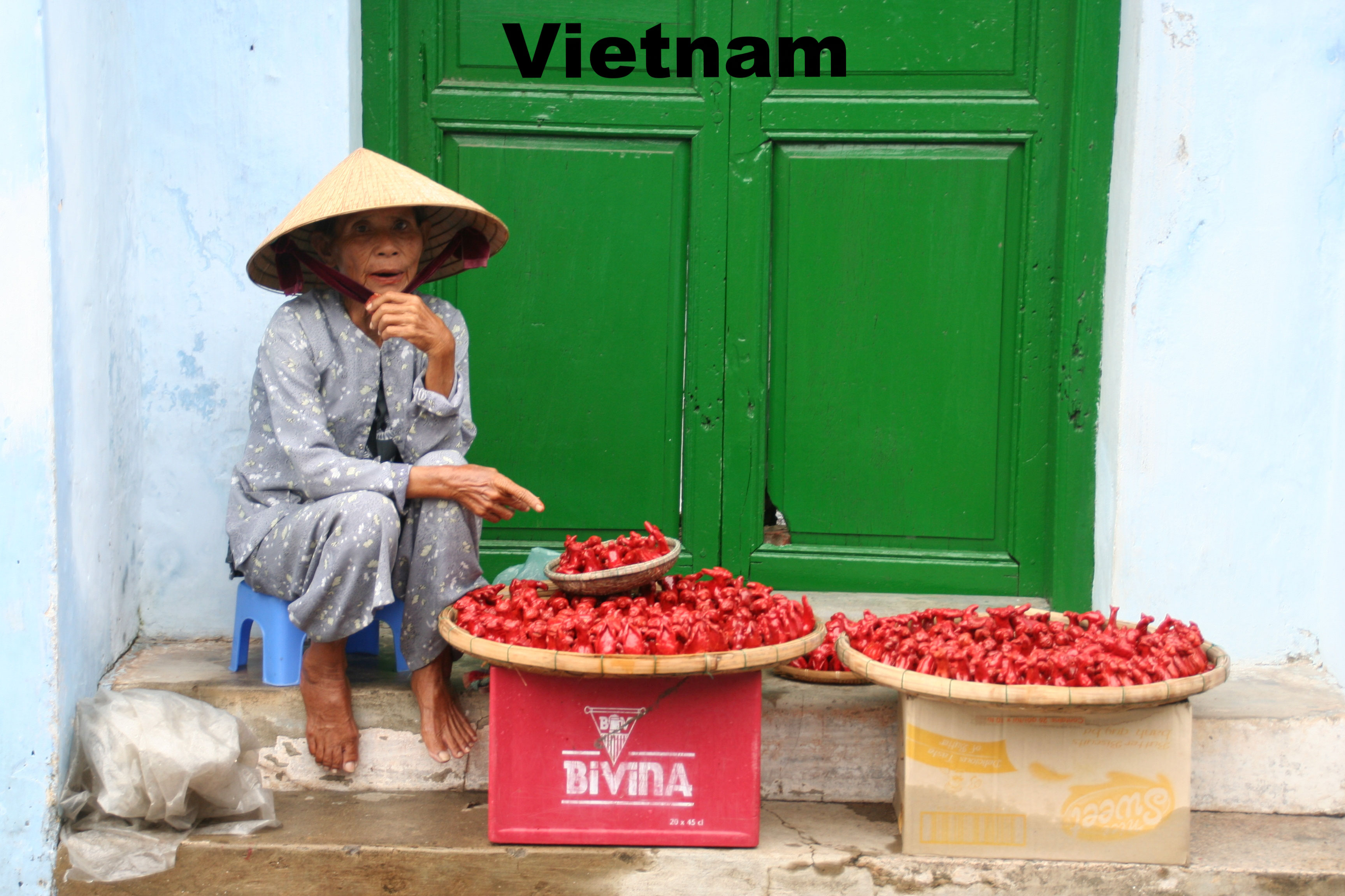 (c) Vietnam-heise.de