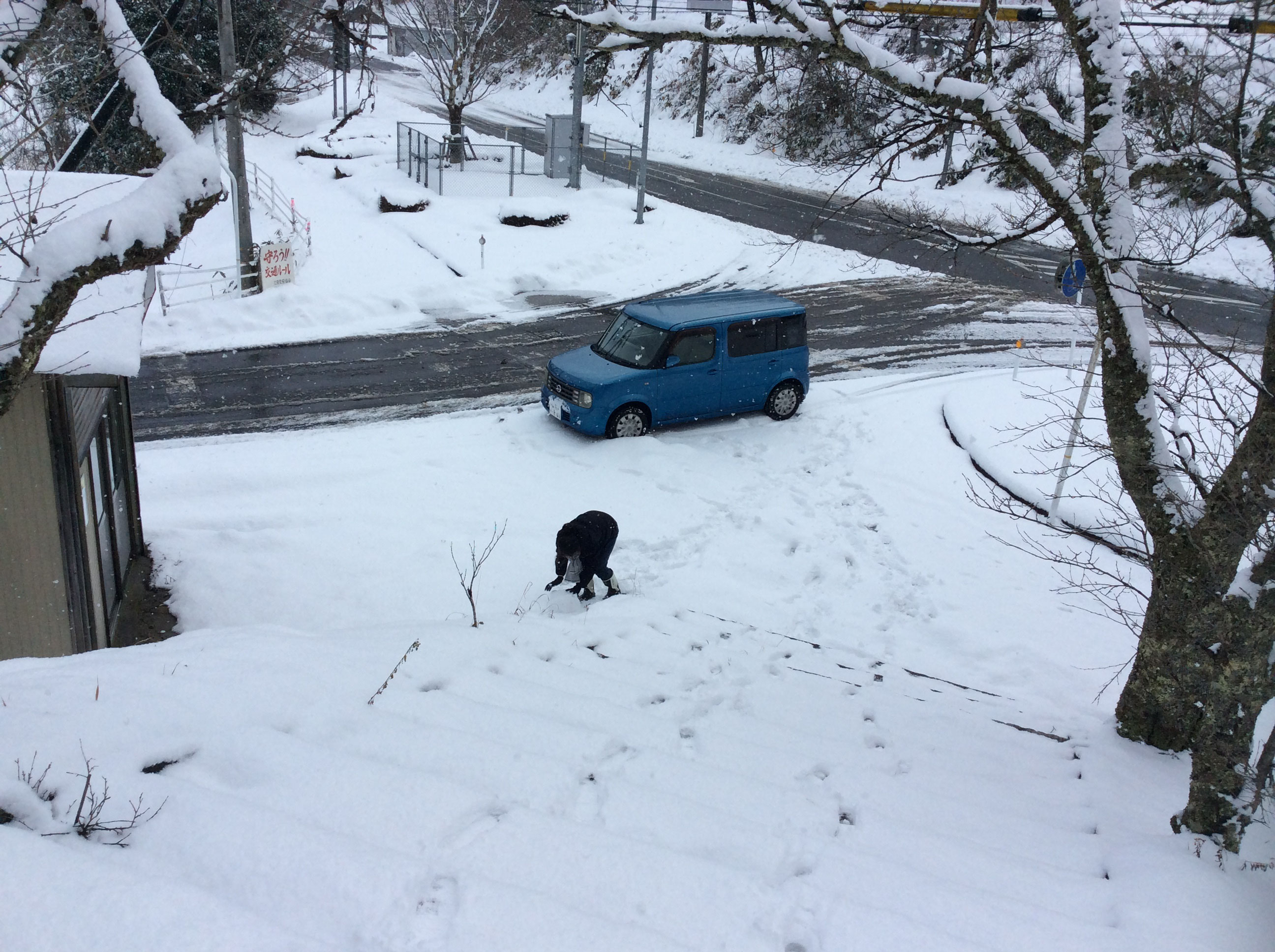 おまゆ様①　生物/地学 生地 布 布地 オックス 可愛い HI! MY ZOO ハイマイズー □ 動物