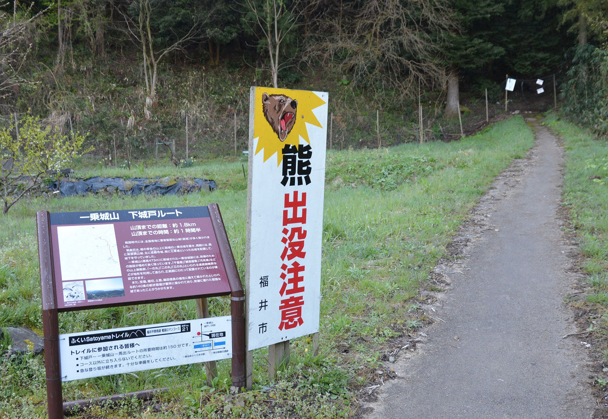 熊 脅しに苦笑 下城戸登山道 一乗谷城一乗城山 daitakuji 大澤寺 墓場放浪記