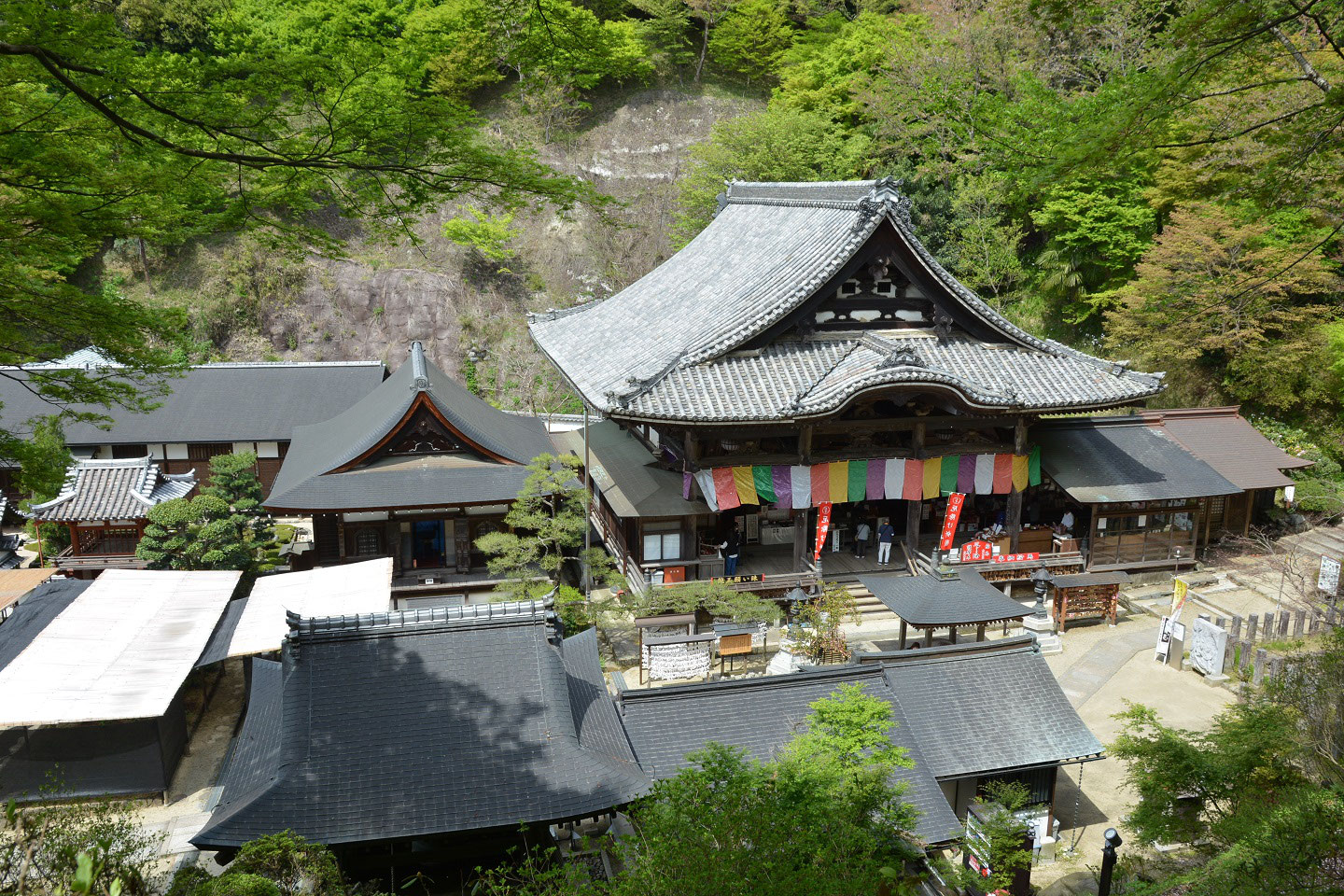 真作】仁和寺41世門跡/大僧正/森諦圓/寿山萬丈高/掛軸☆