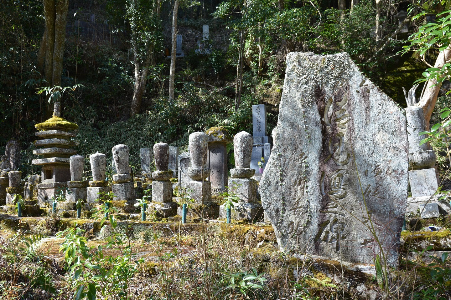 洞樹院の古仏 ミニ五重塔のどっしり感 - daitakuji 大澤寺 墓場放浪記