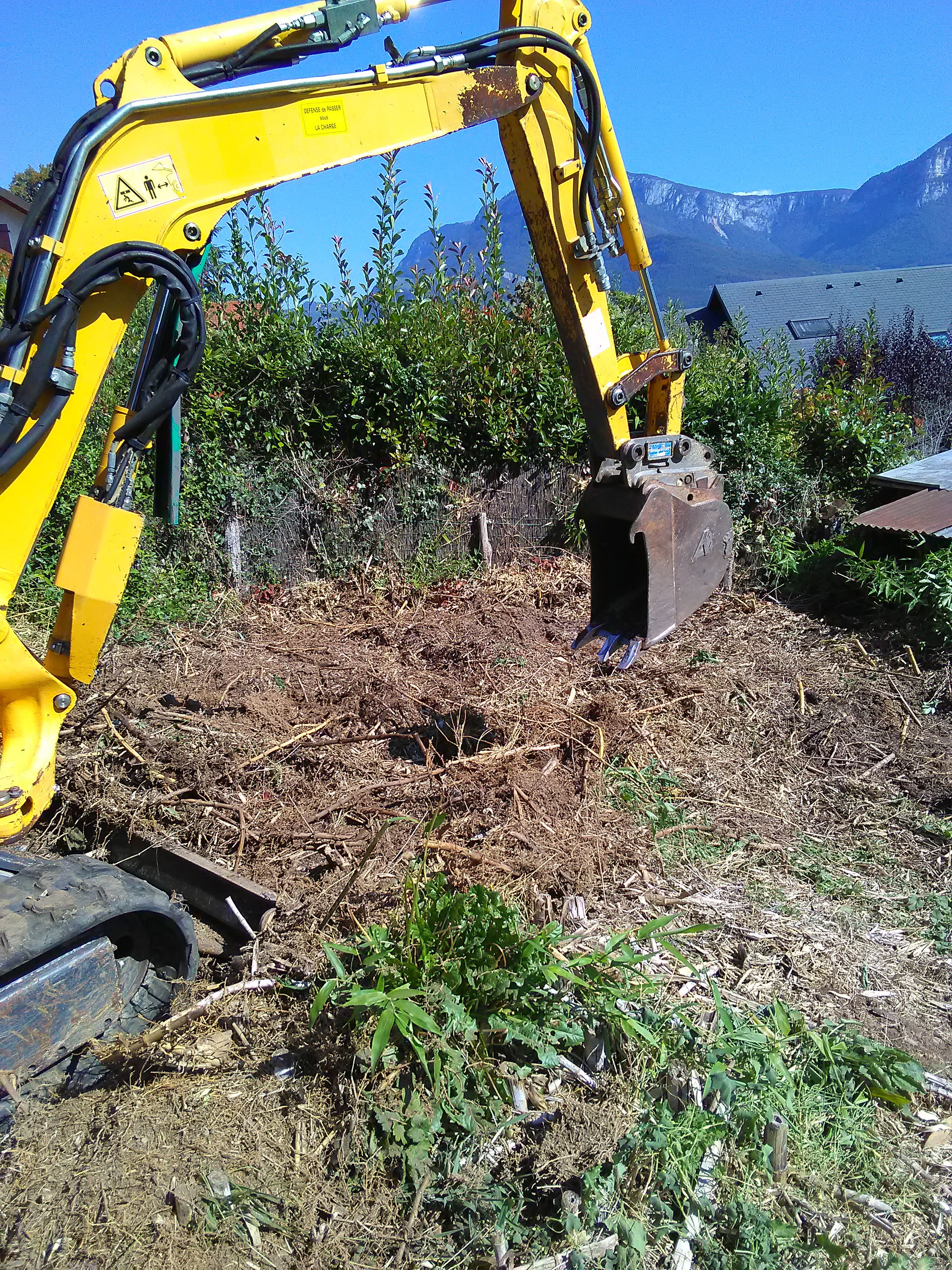 Extraction de bambous traçants - Wiss Paysagiste