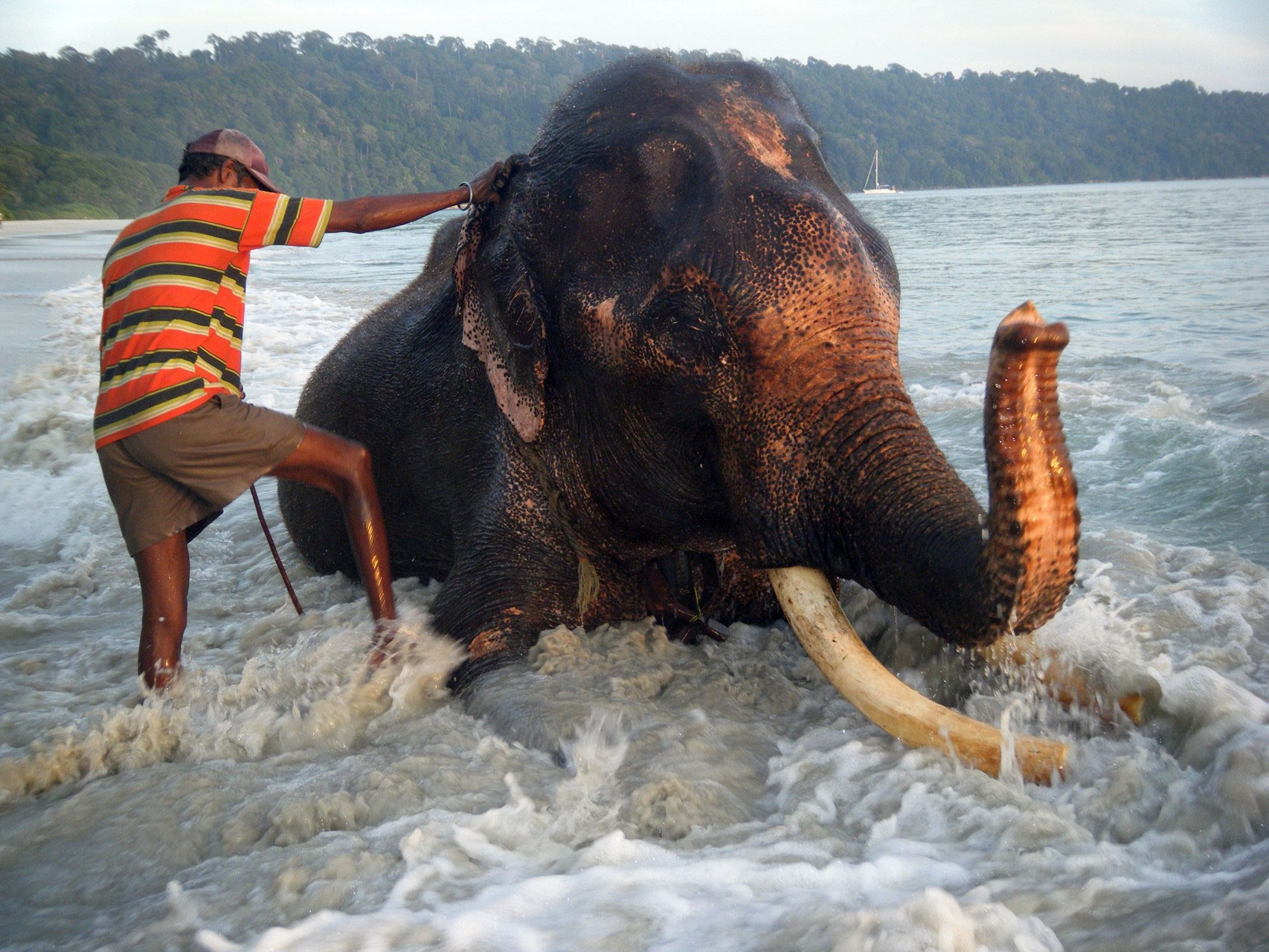 Andamanen / Indien 2010 celuanns Webseite!