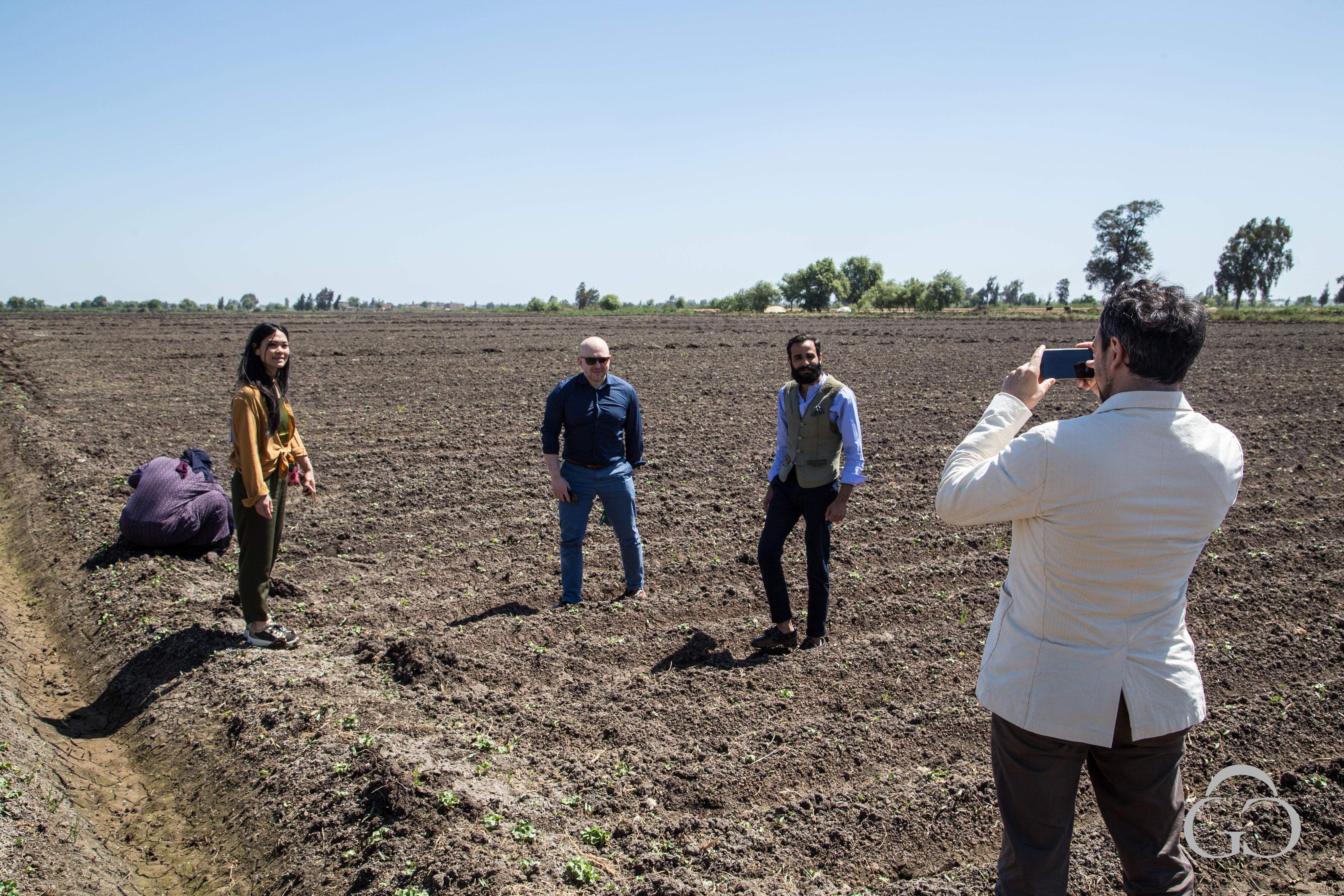 LIBERTY LONDON 1875 GIZA COTTON Giza Cotton