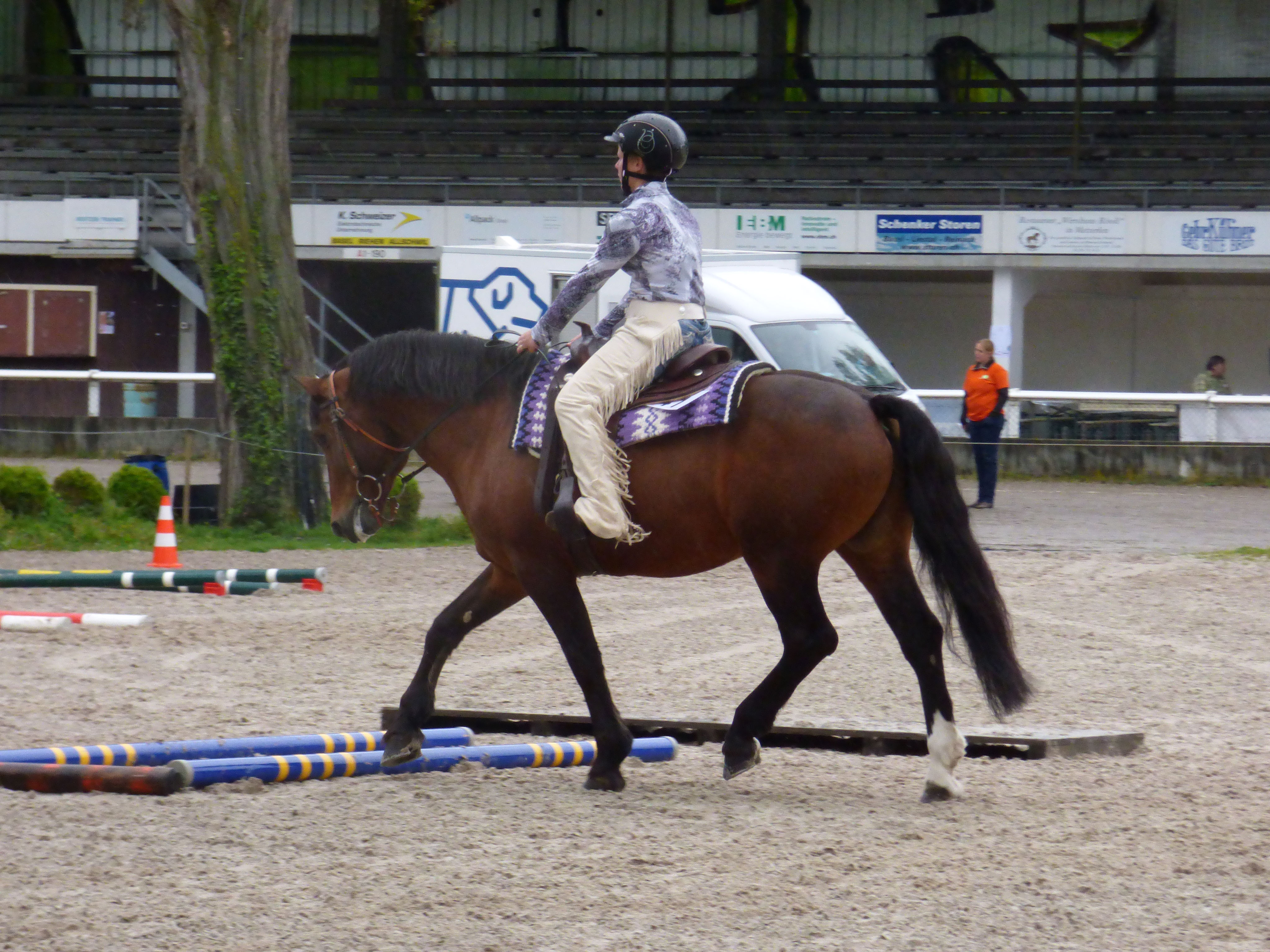 (c) Westernreiter-fwn.ch