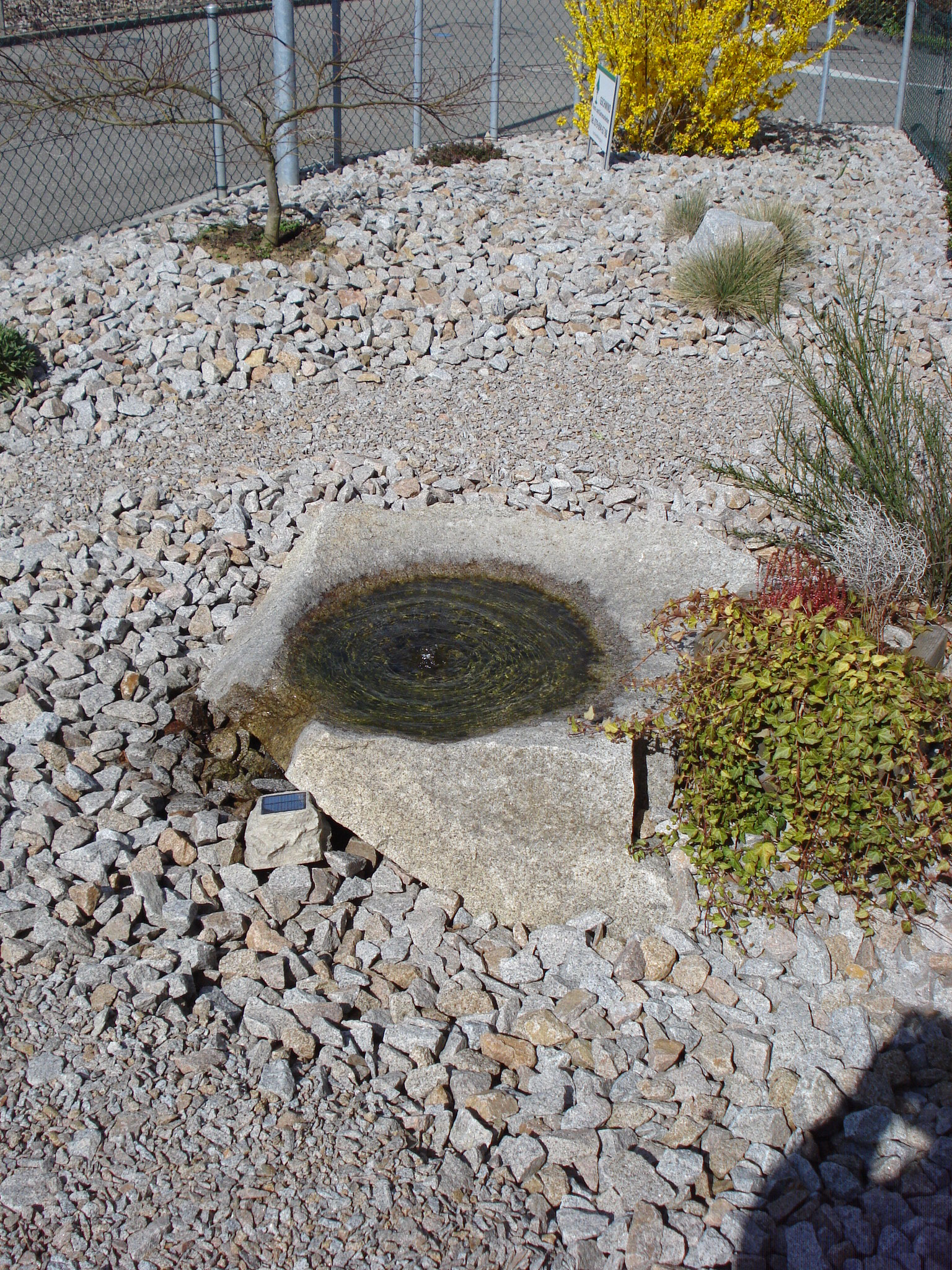 Wasserspiele - Gschwind Forst- und Gartenarbeiten